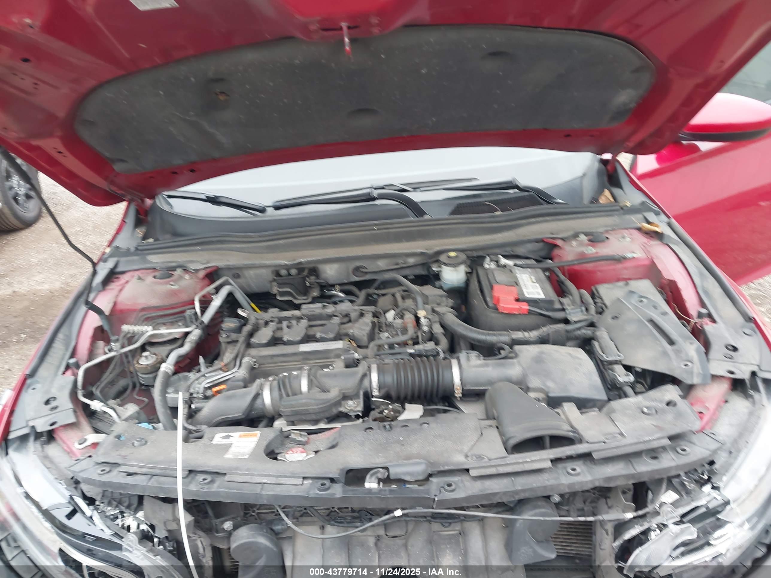 HONDA ACCORD image 10