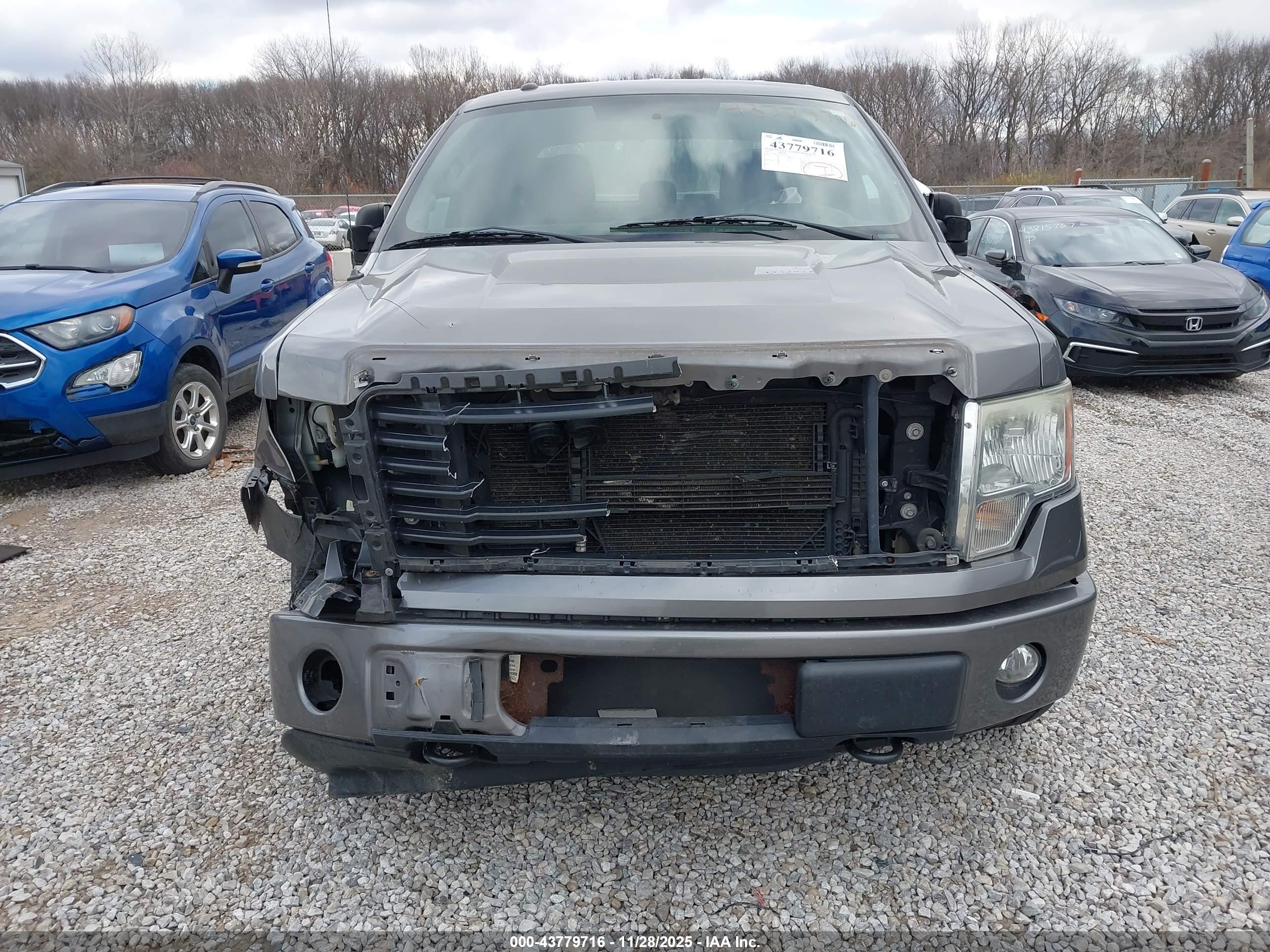 FORD F-150 image 6