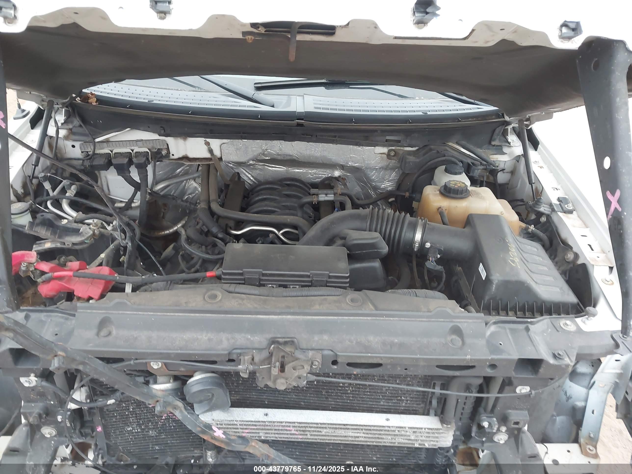FORD F-150 image 10