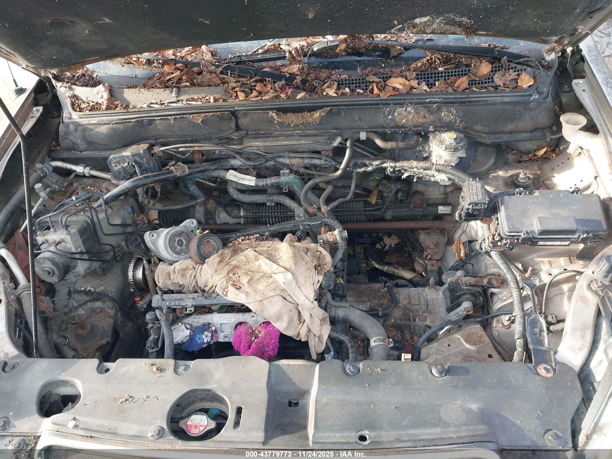 HONDA CR-V image 10