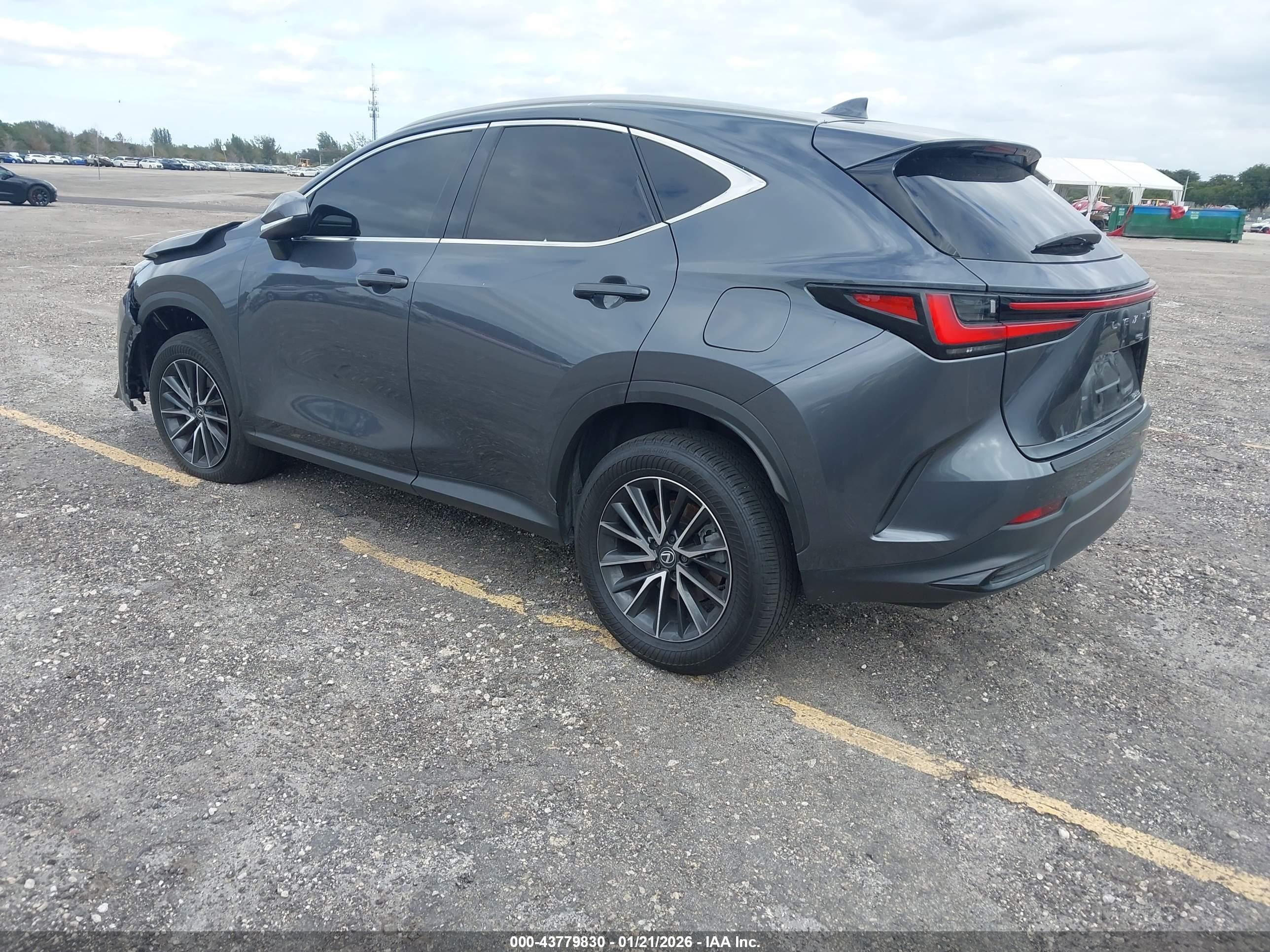 LEXUS NX image 3
