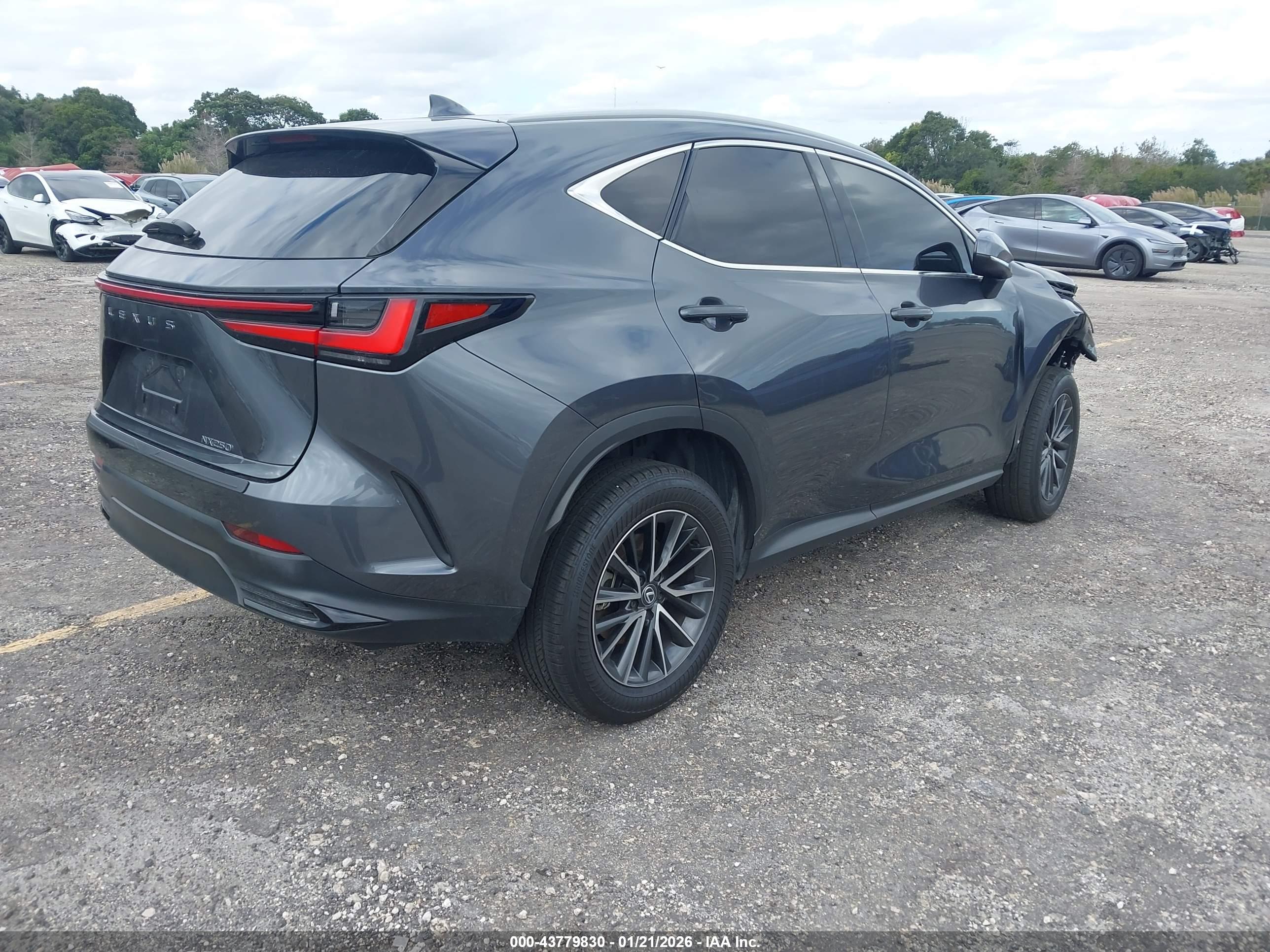 LEXUS NX image 4