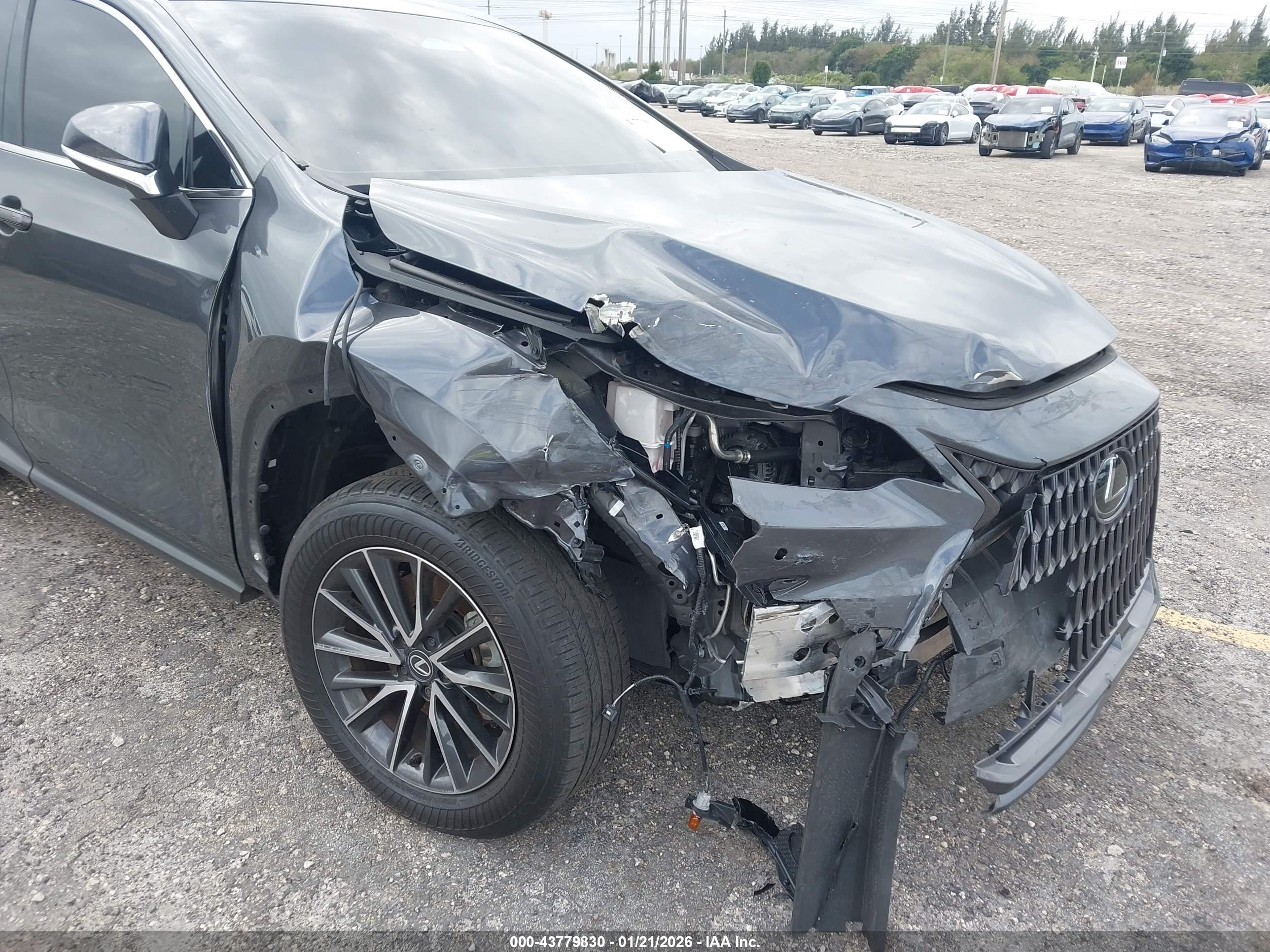 LEXUS NX image 6