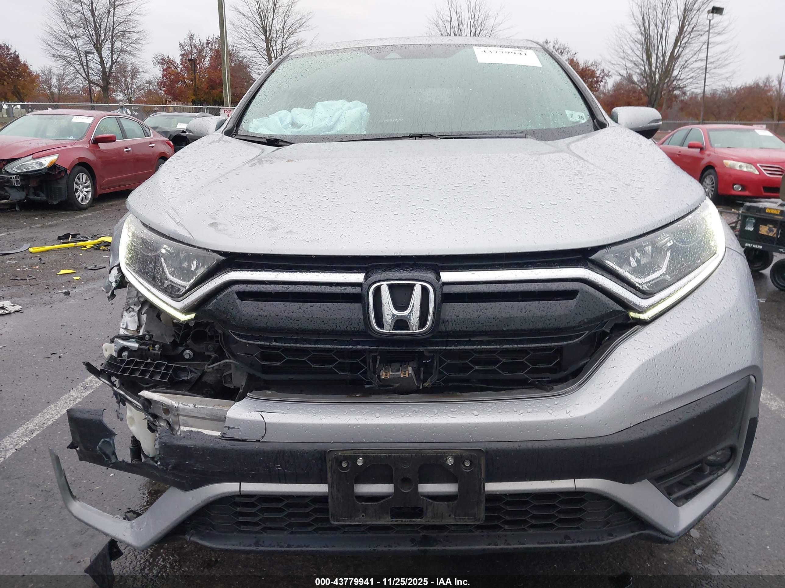HONDA CR-V image 6