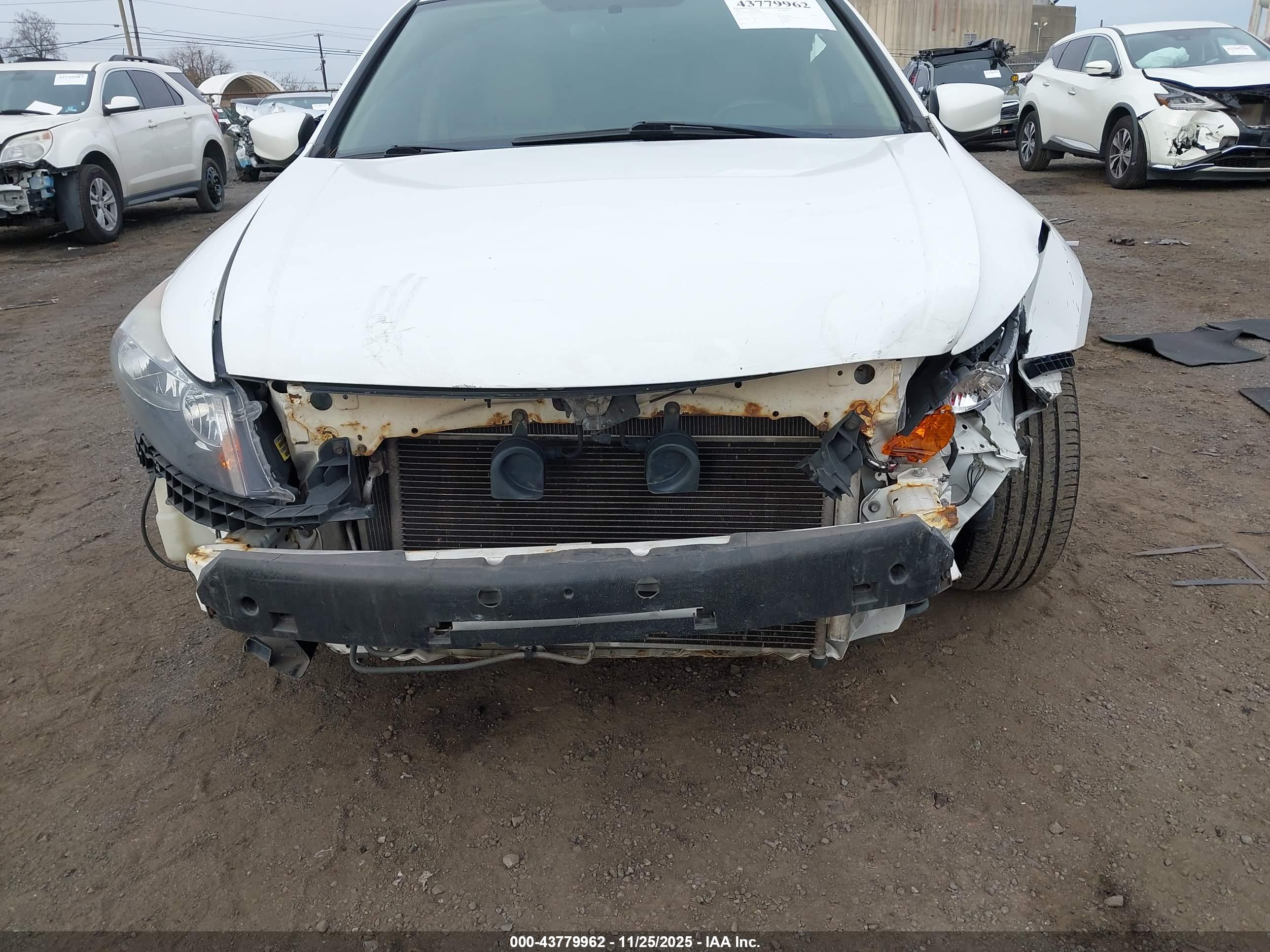 HONDA ACCORD image 6