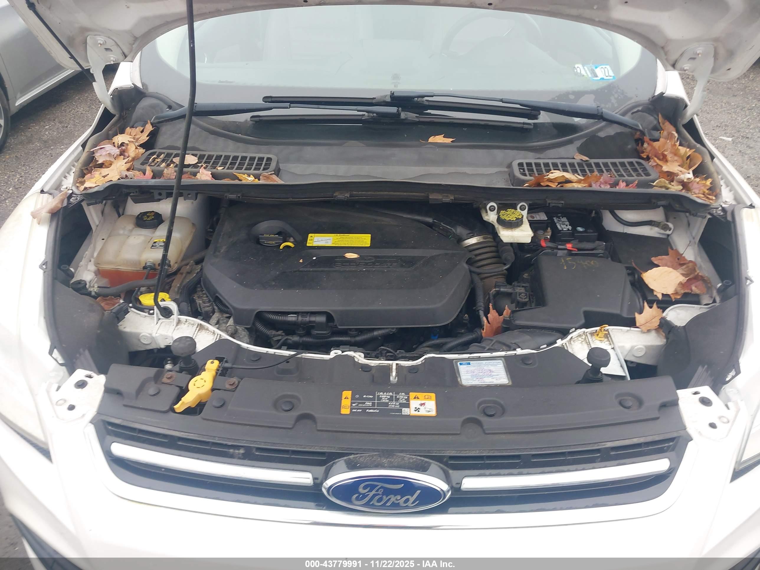 FORD ESCAPE image 10