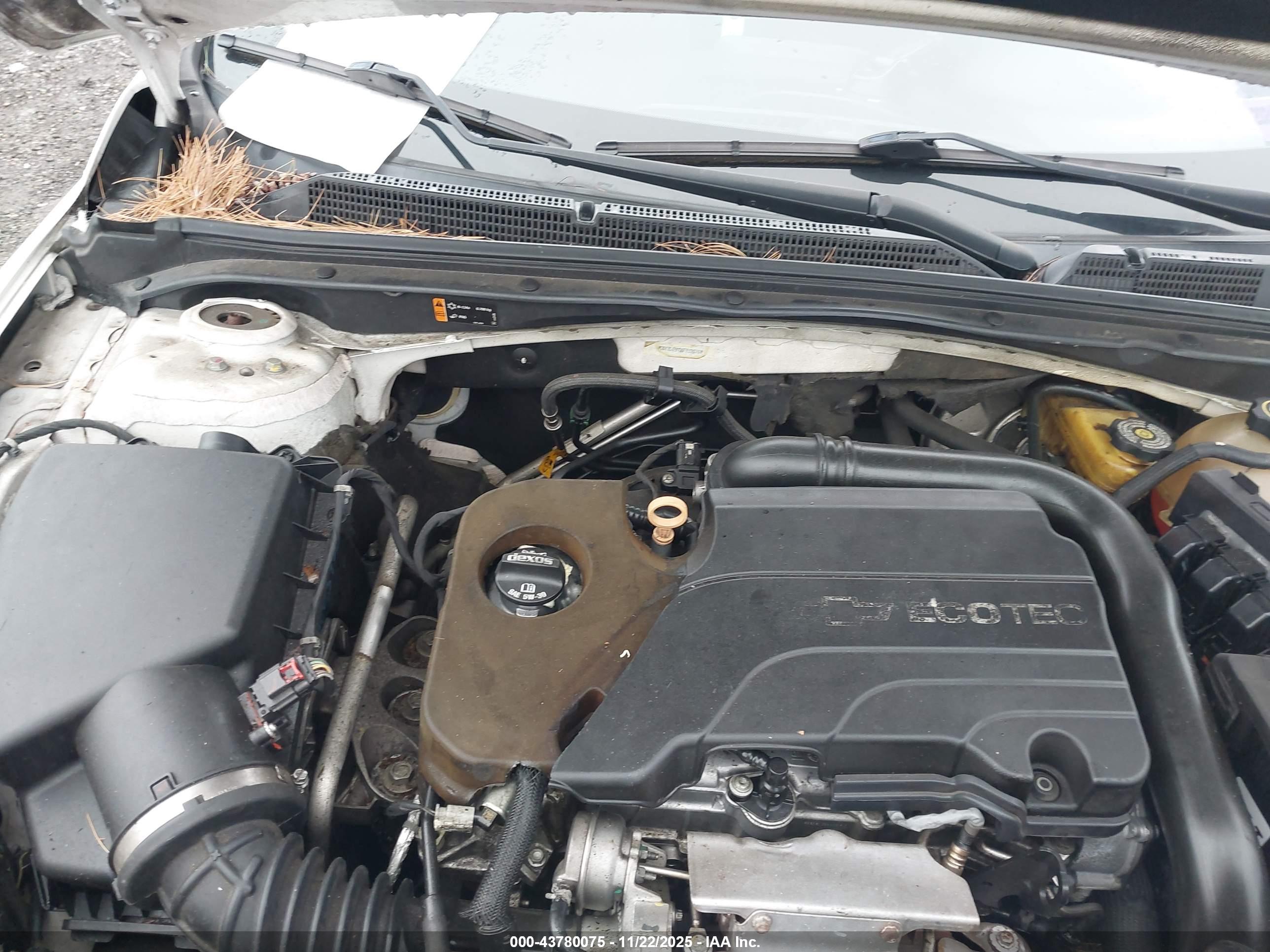 CHEVROLET MALIBU image 10
