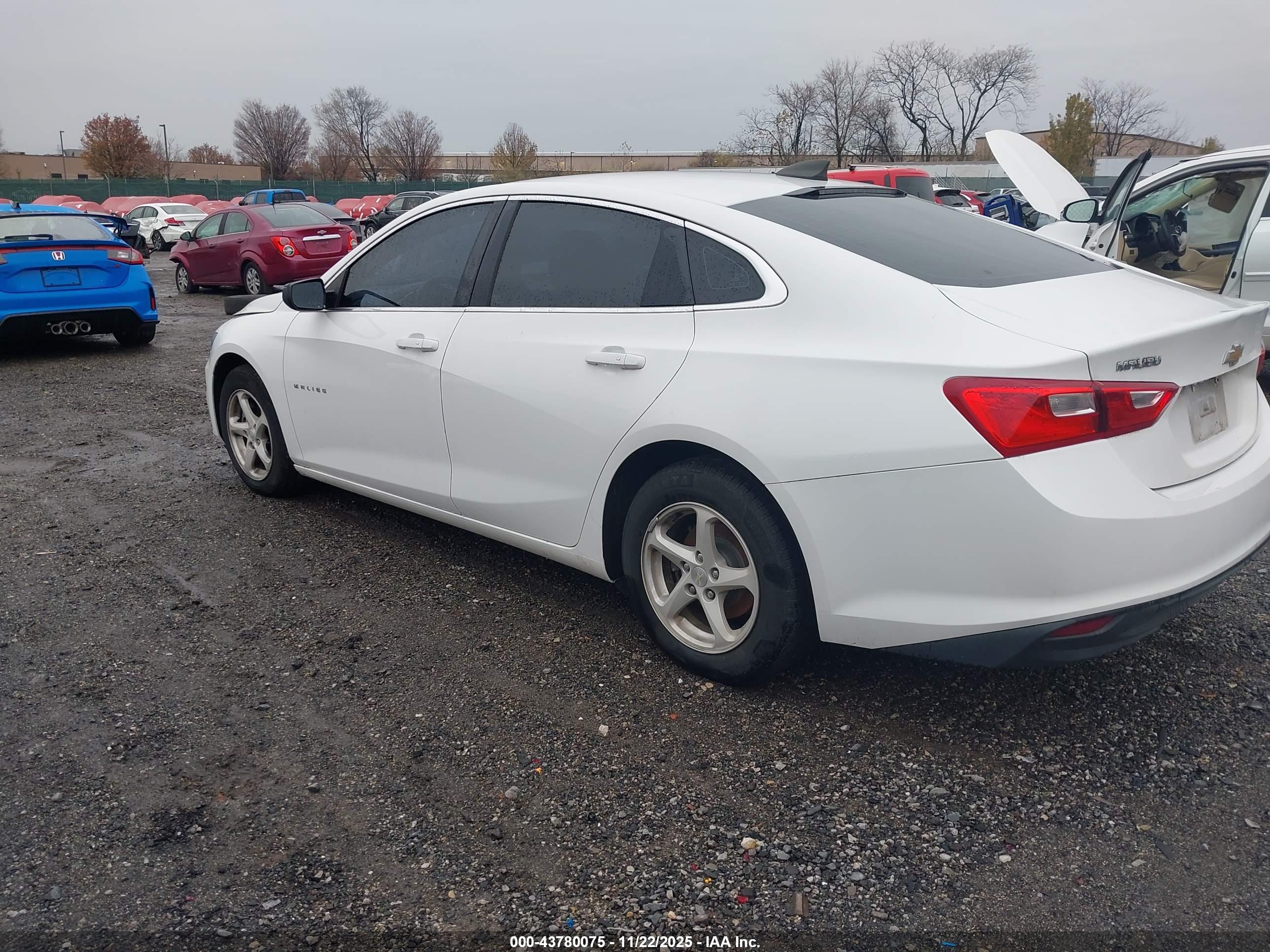 CHEVROLET MALIBU image 3