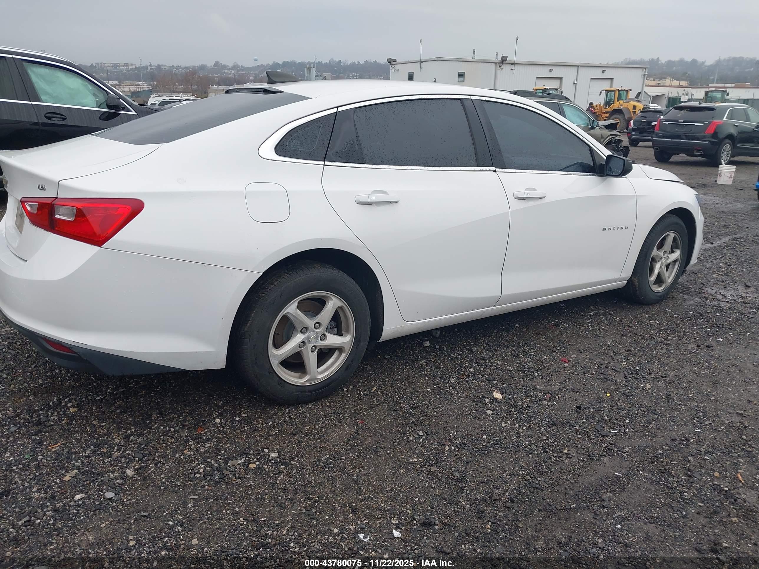 CHEVROLET MALIBU image 4