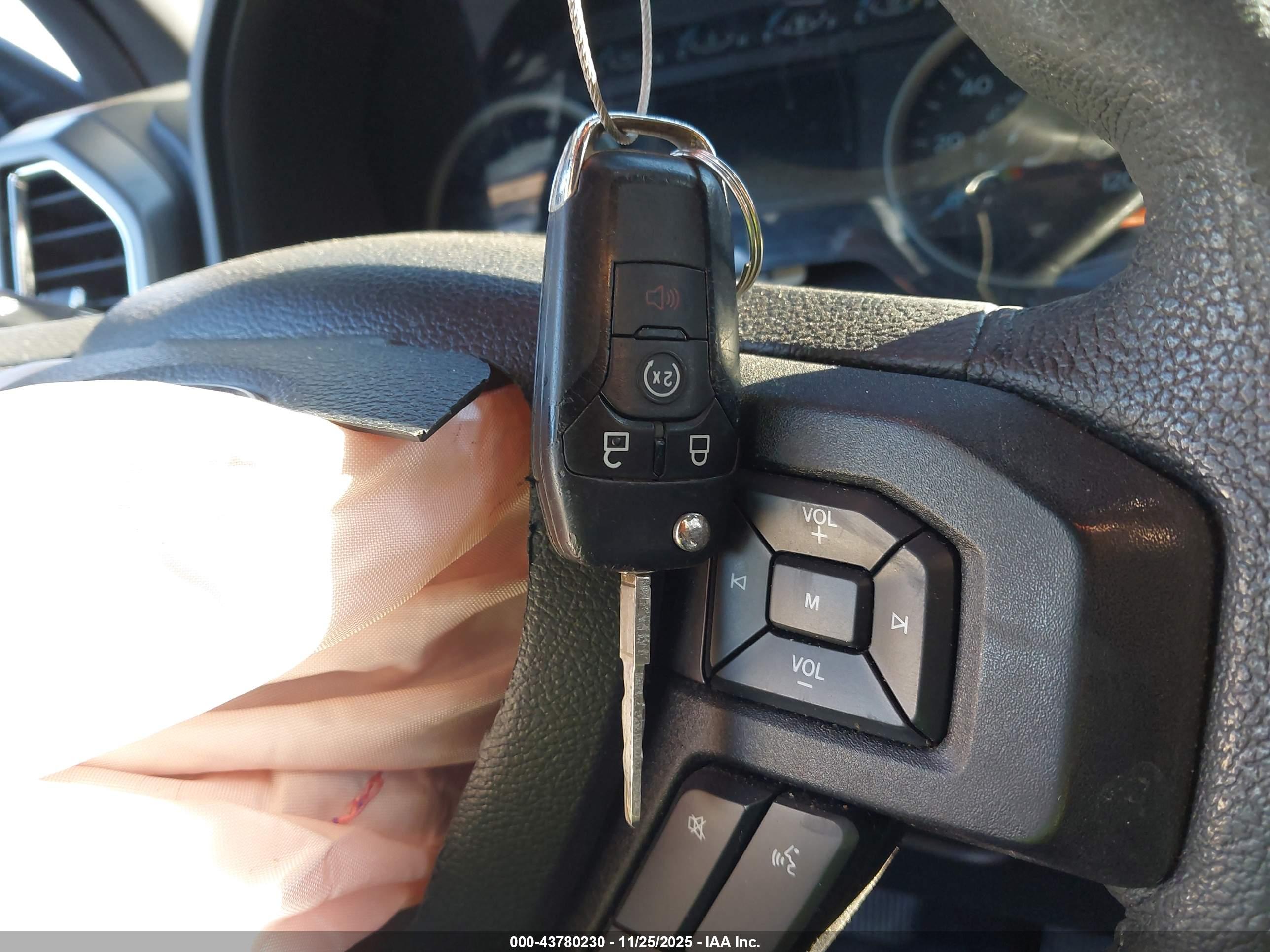 FORD F-150 image 11