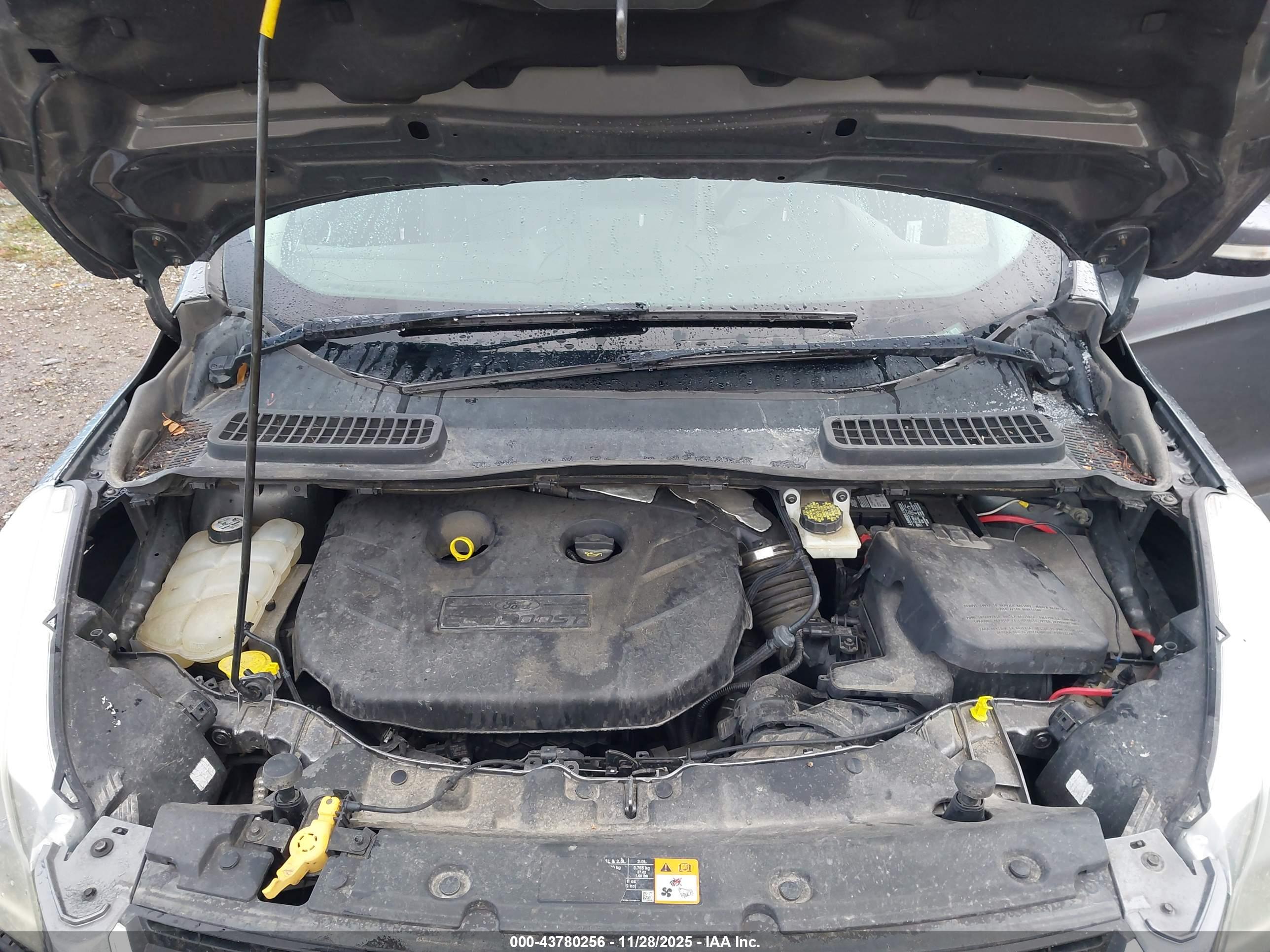 FORD ESCAPE image 10