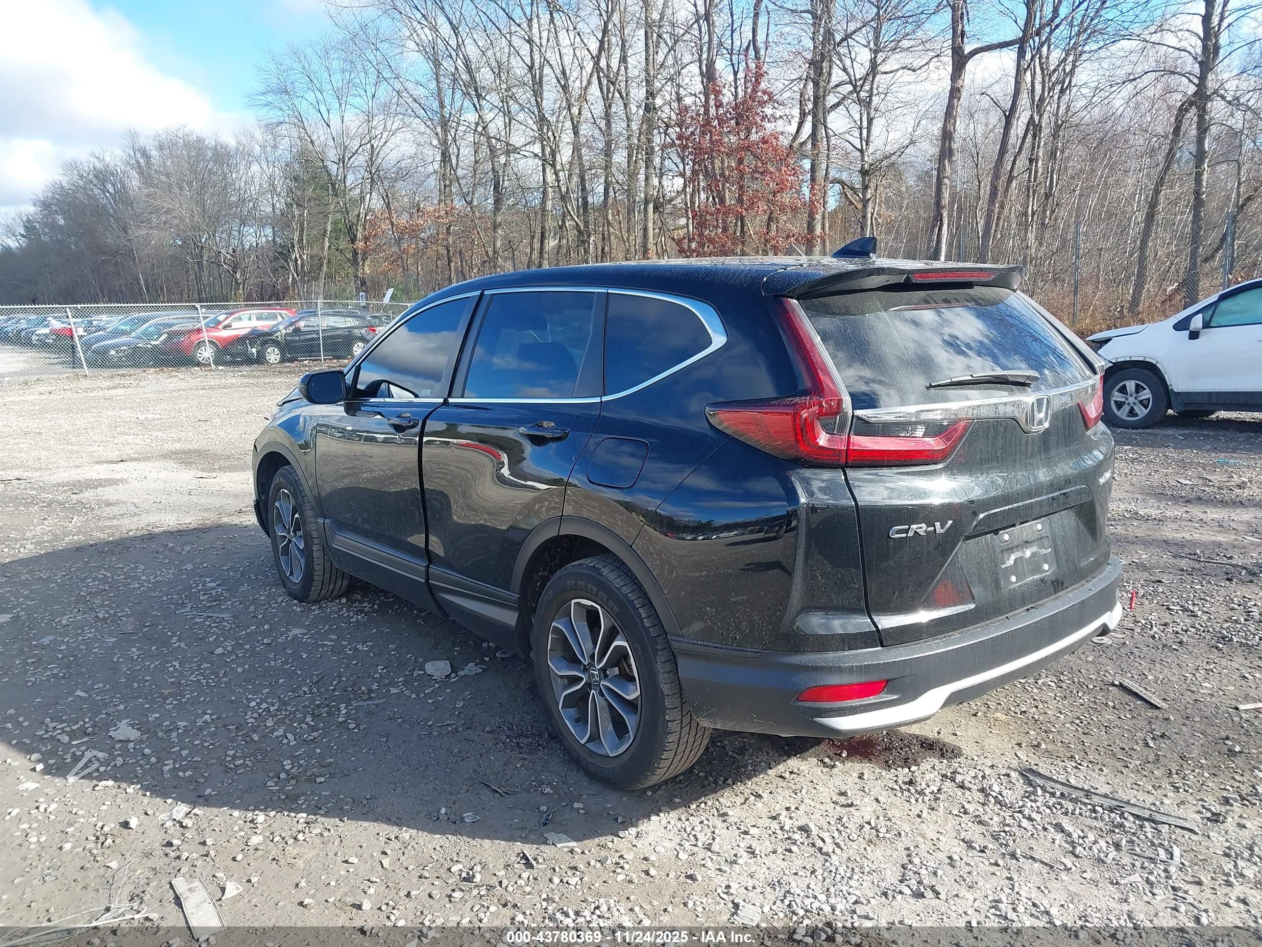 HONDA CR-V image 3