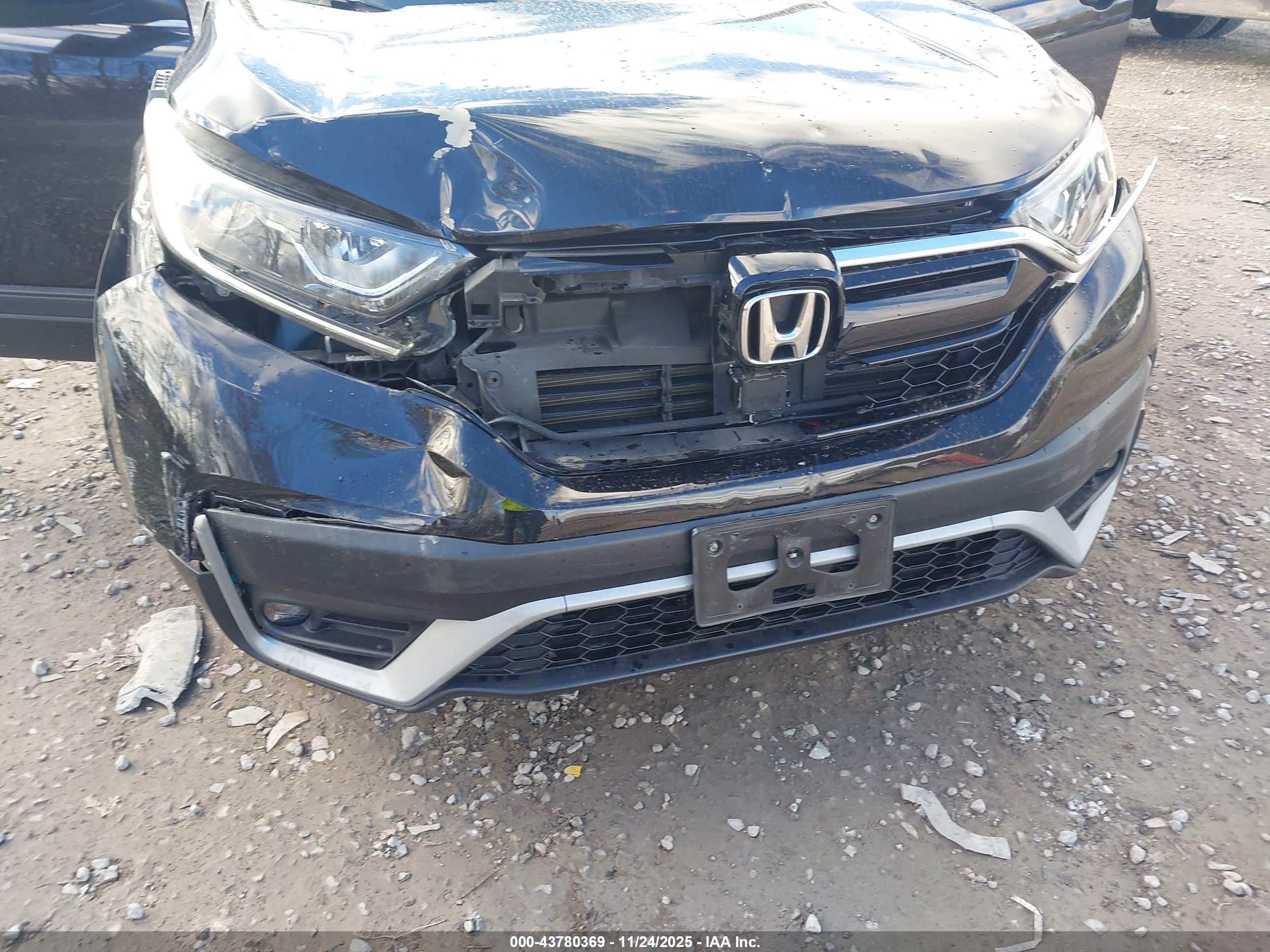 HONDA CR-V image 6
