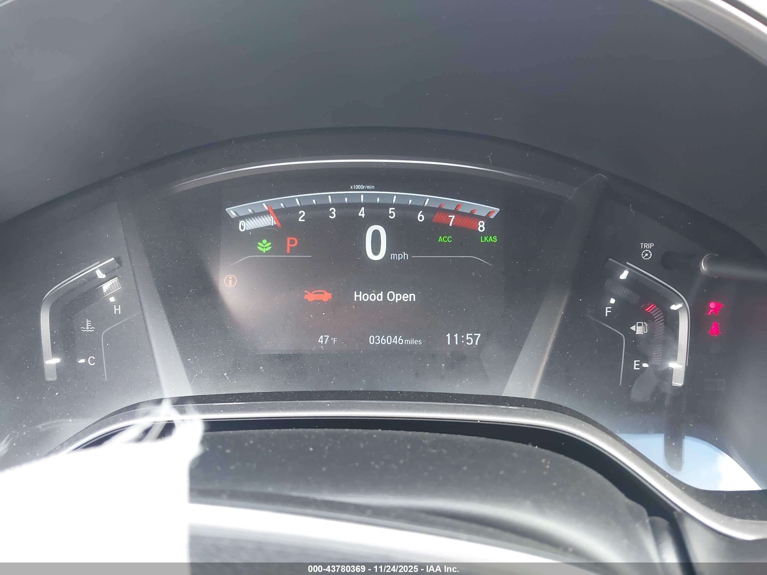 HONDA CR-V image 7