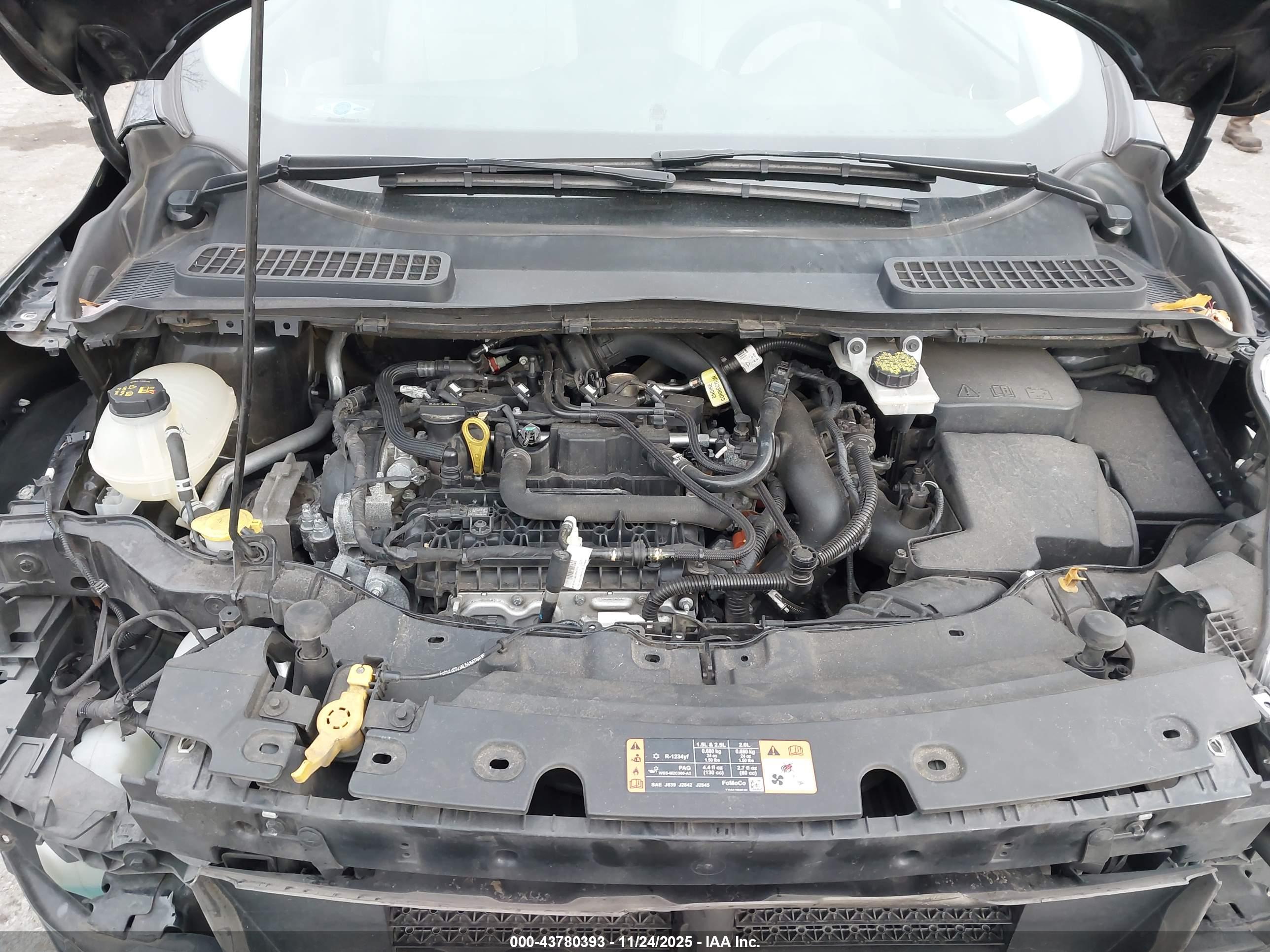 FORD ESCAPE image 10