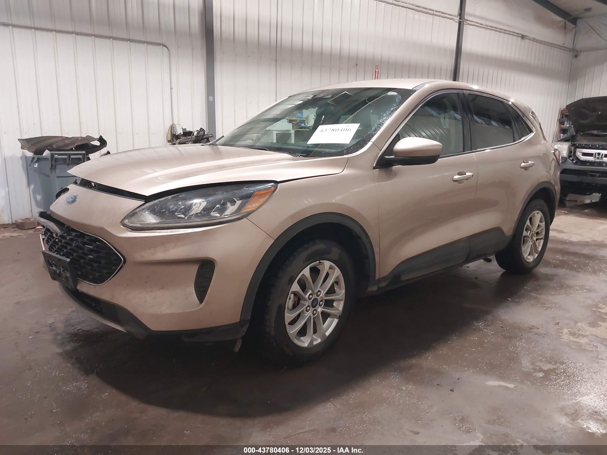 FORD ESCAPE image 2