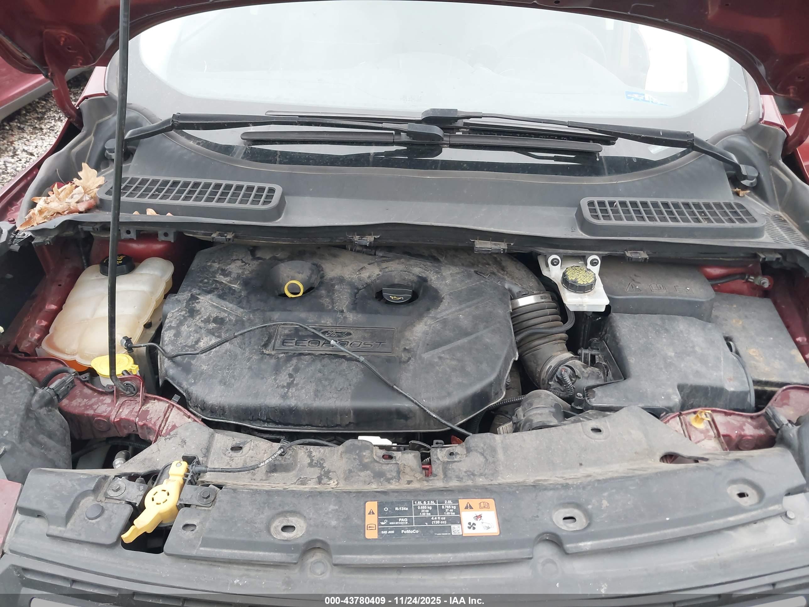 FORD ESCAPE image 10