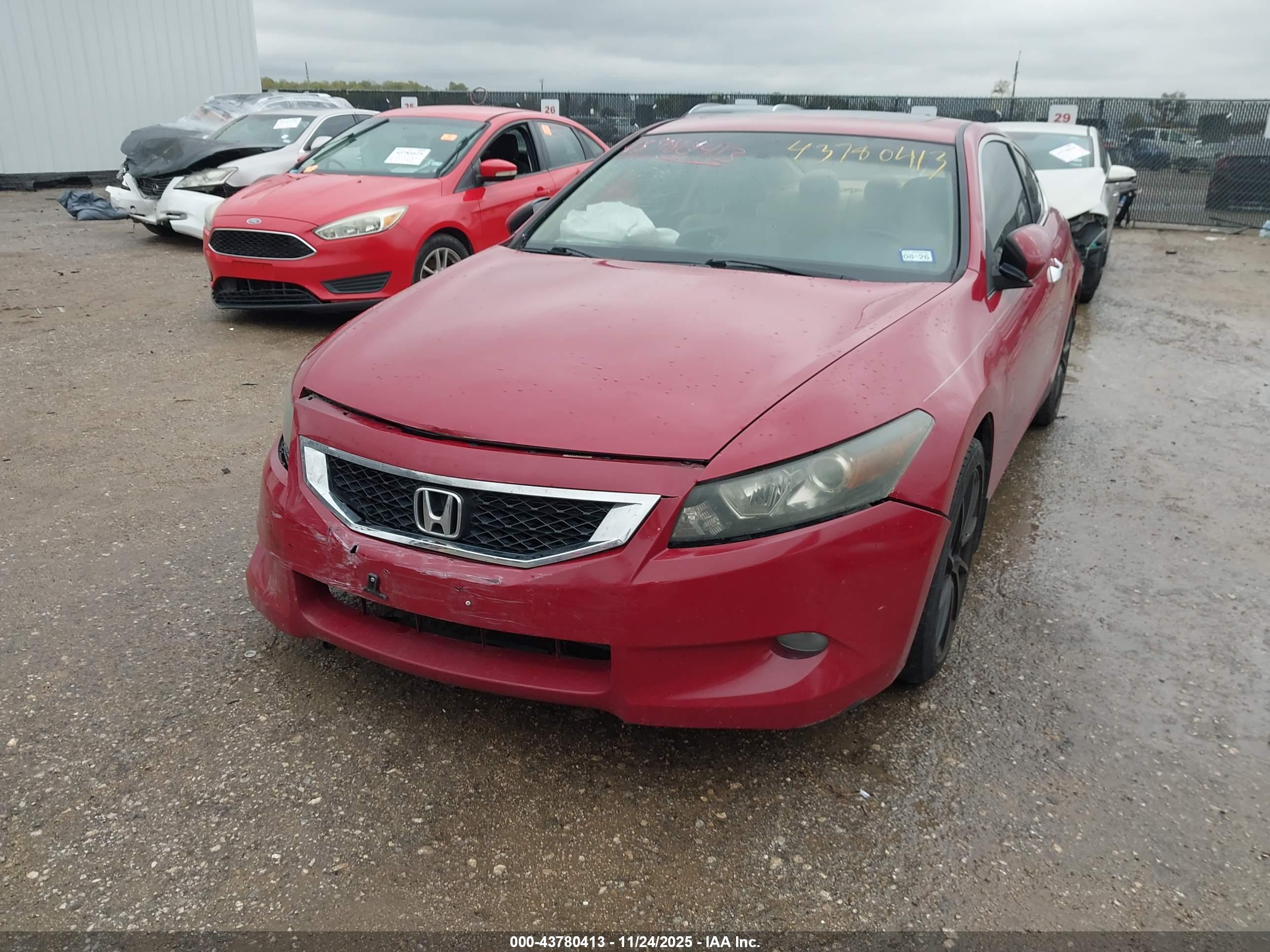 HONDA ACCORD image 2