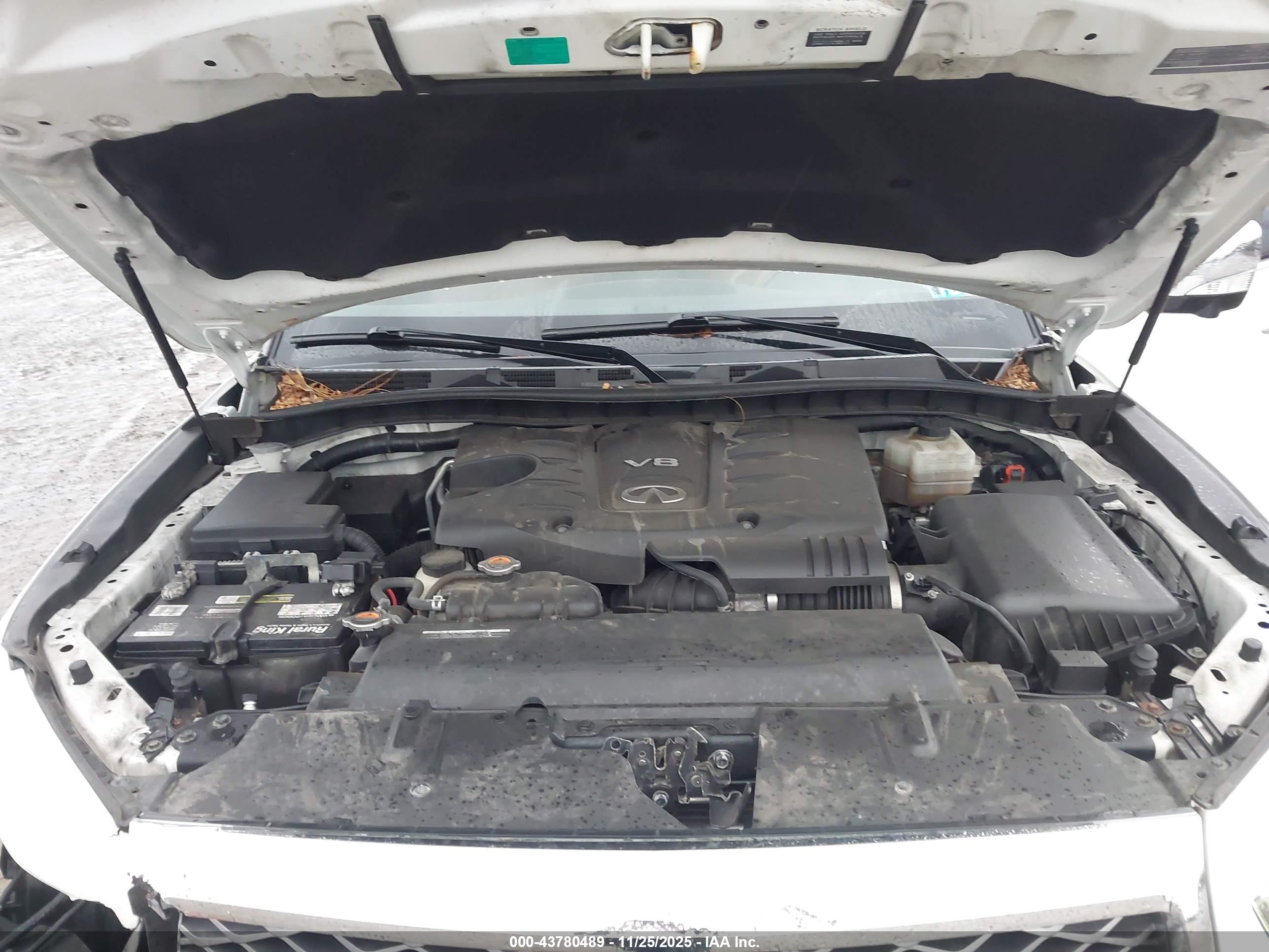 INFINITI QX80 image 10