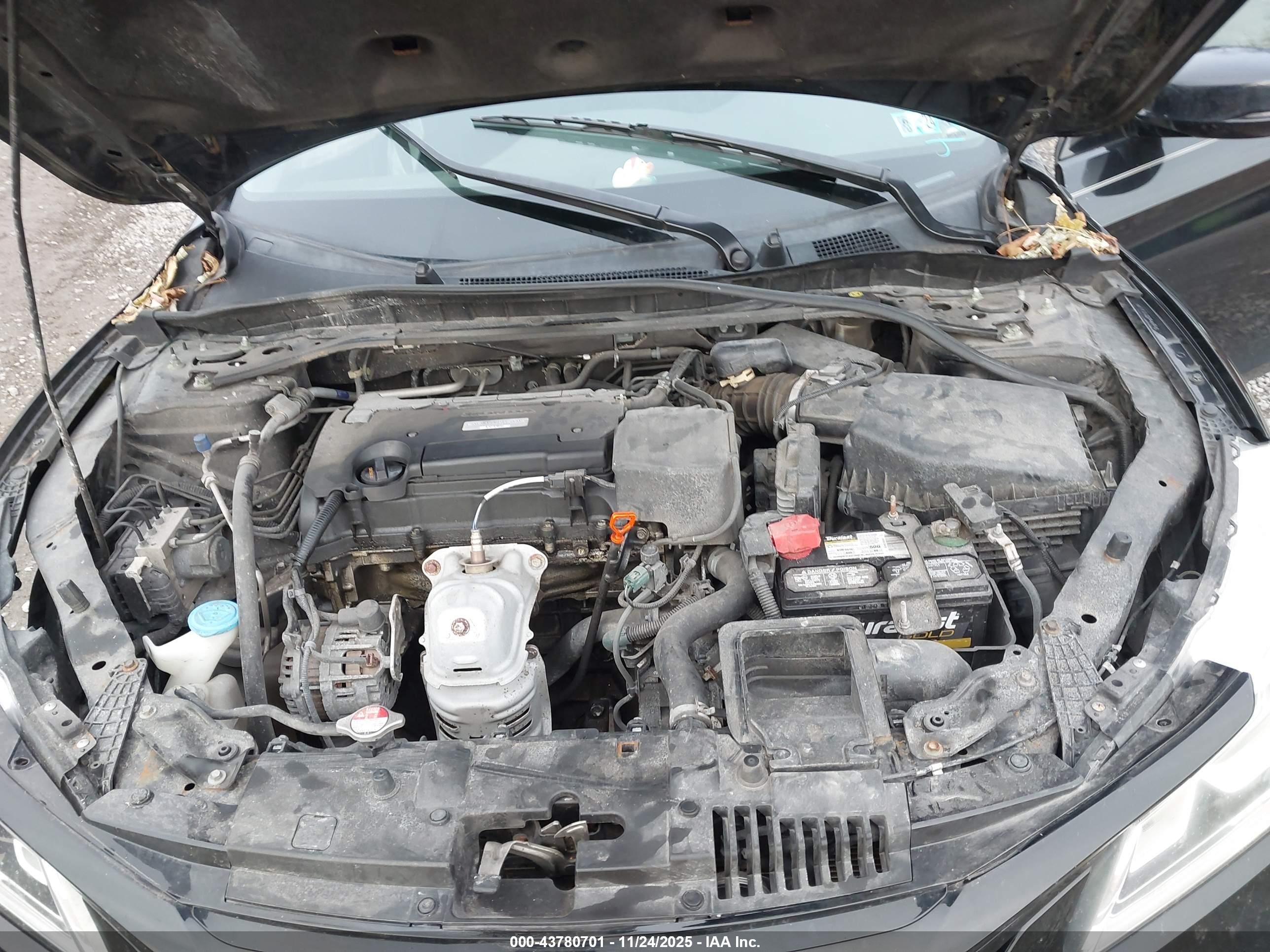 HONDA ACCORD image 10