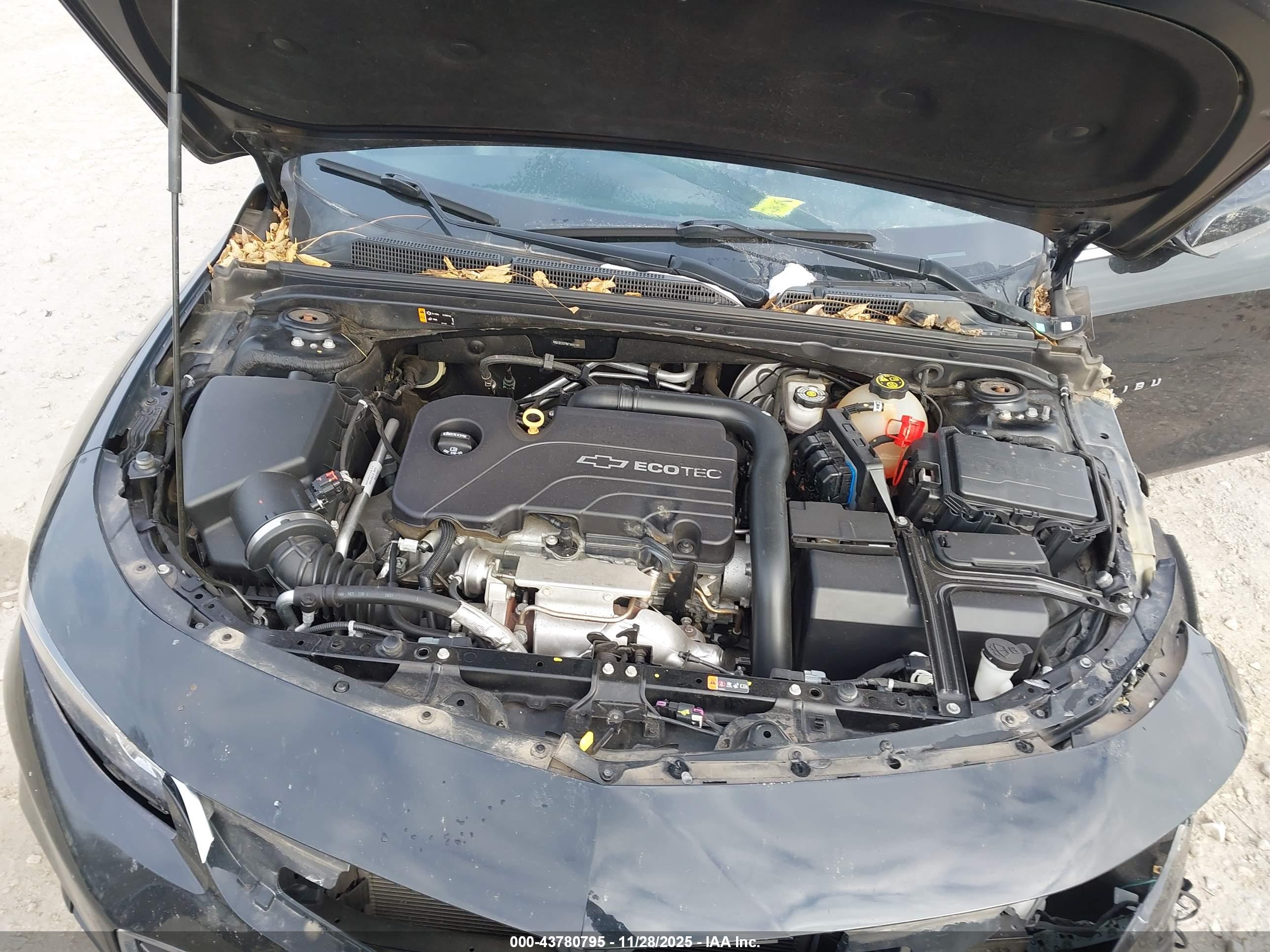 CHEVROLET MALIBU image 10