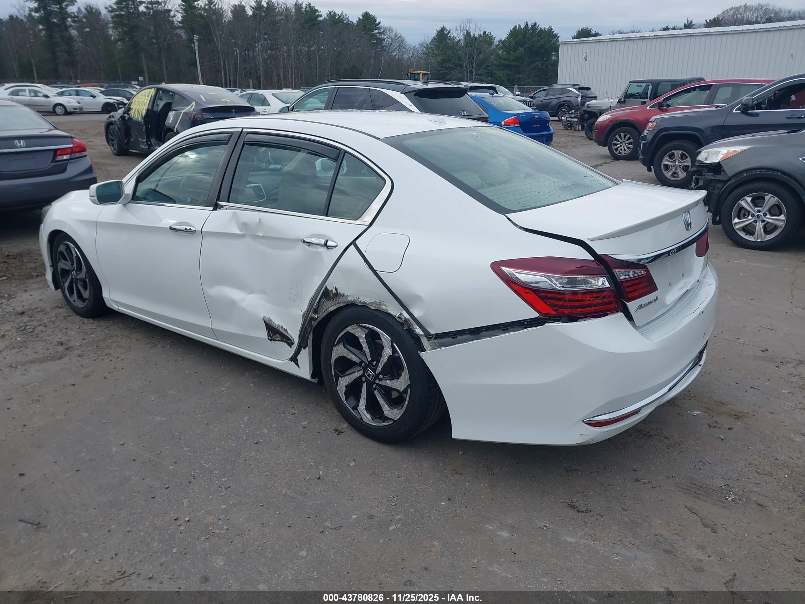 HONDA ACCORD image 3