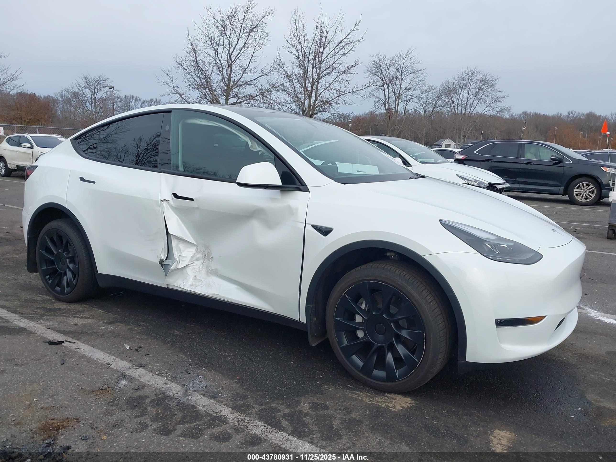 TESLA MODEL image 6