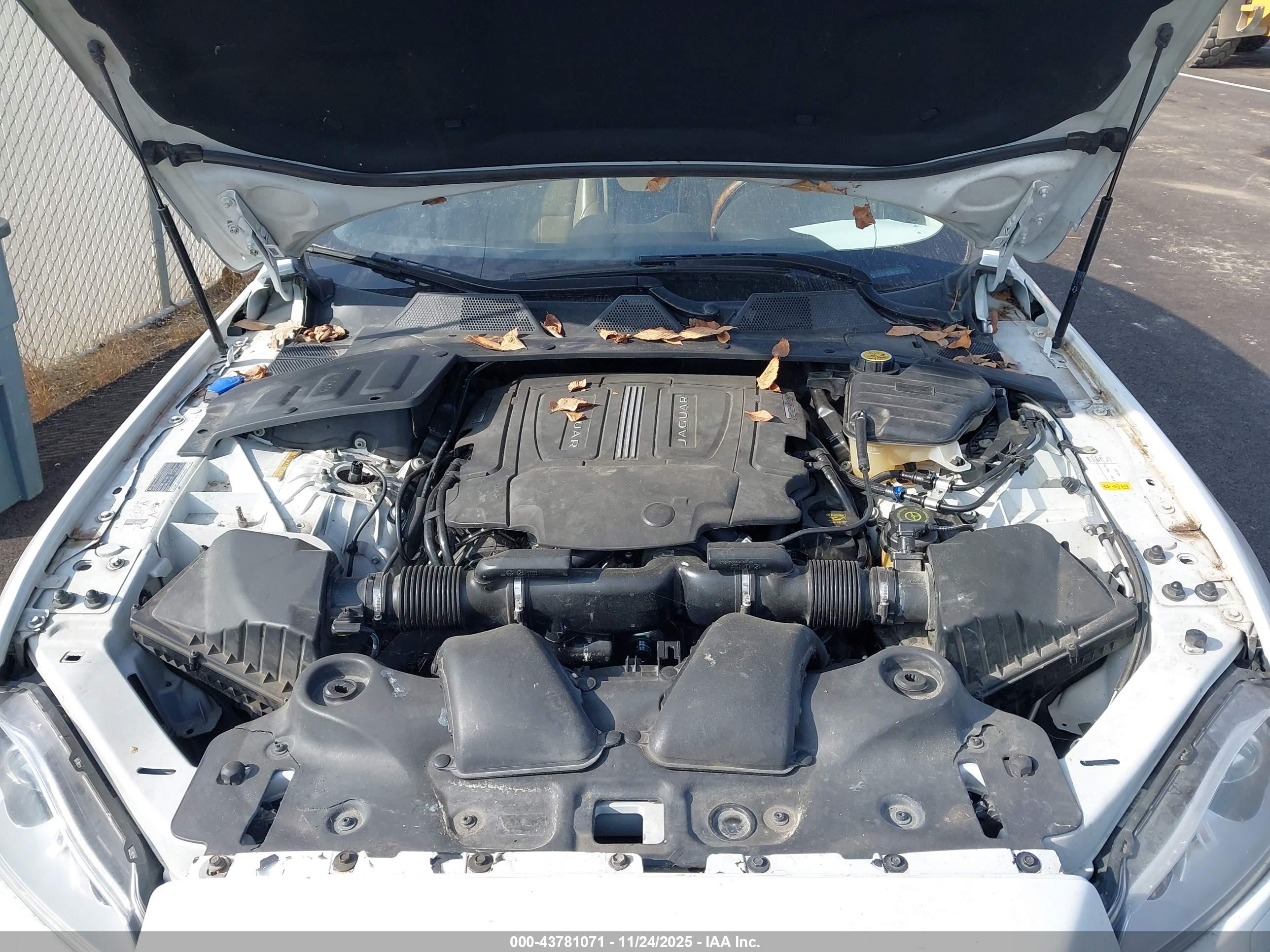 JAGUAR XJ image 10