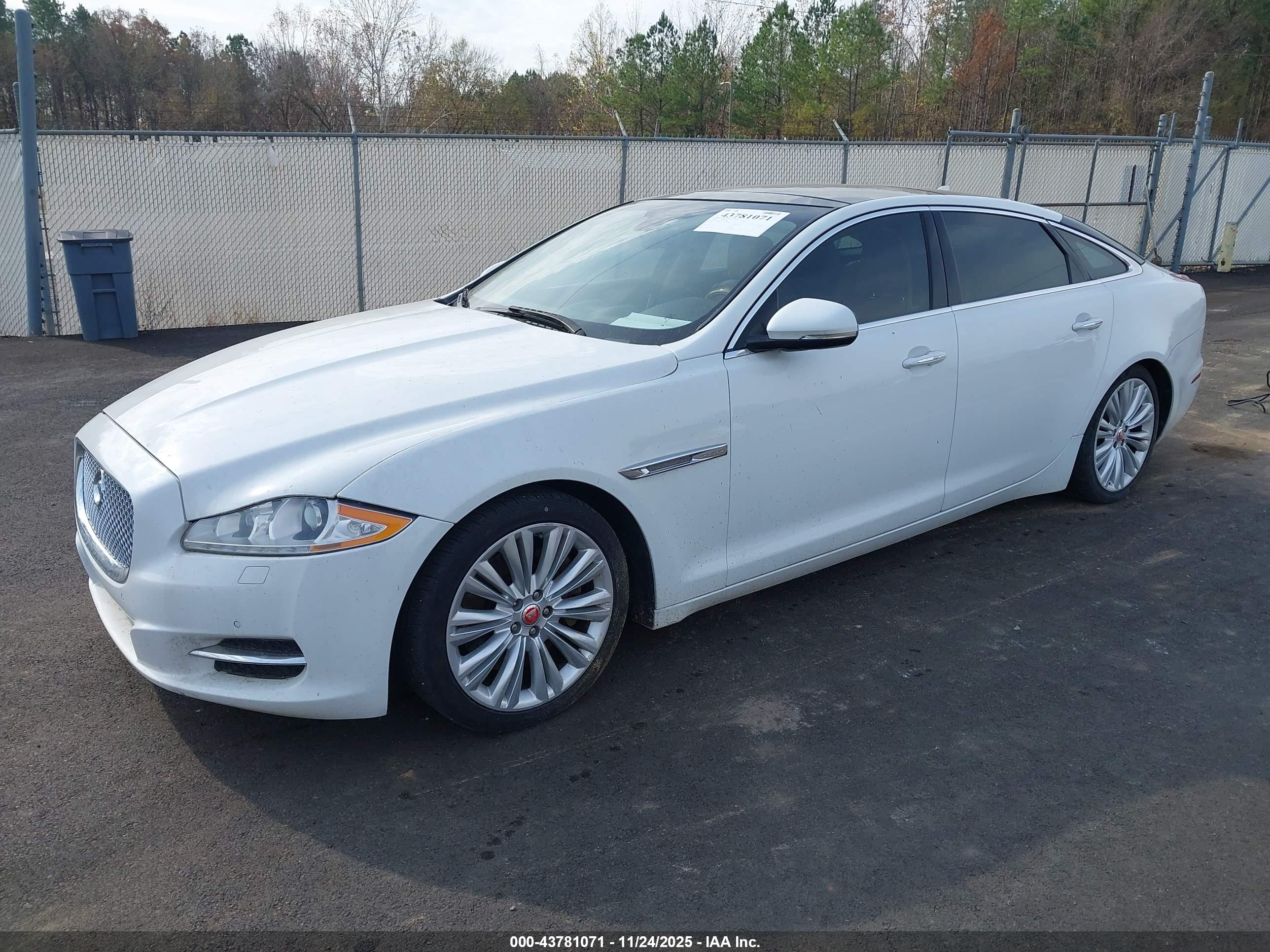 JAGUAR XJ image 2