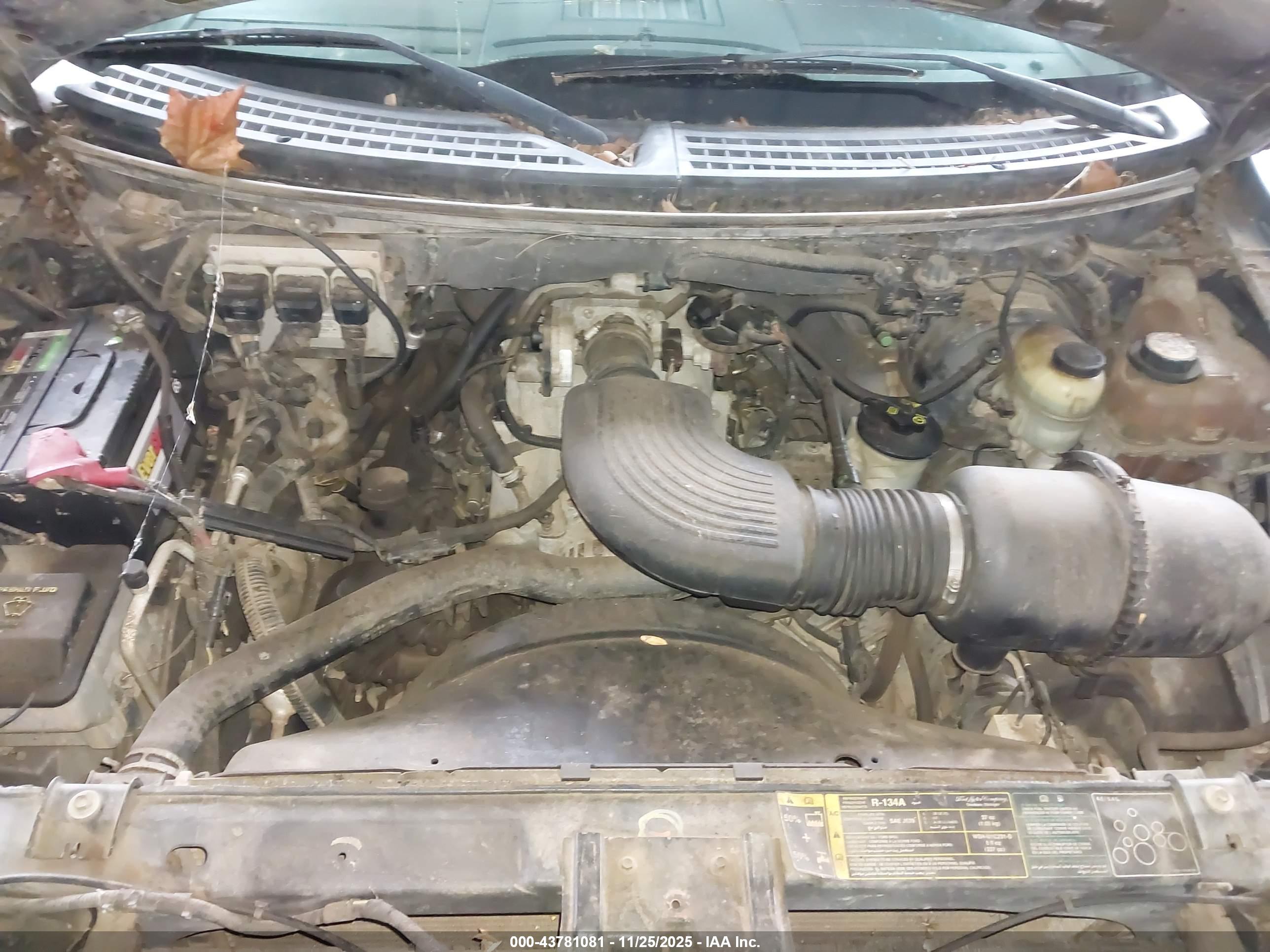 FORD F-150 image 10