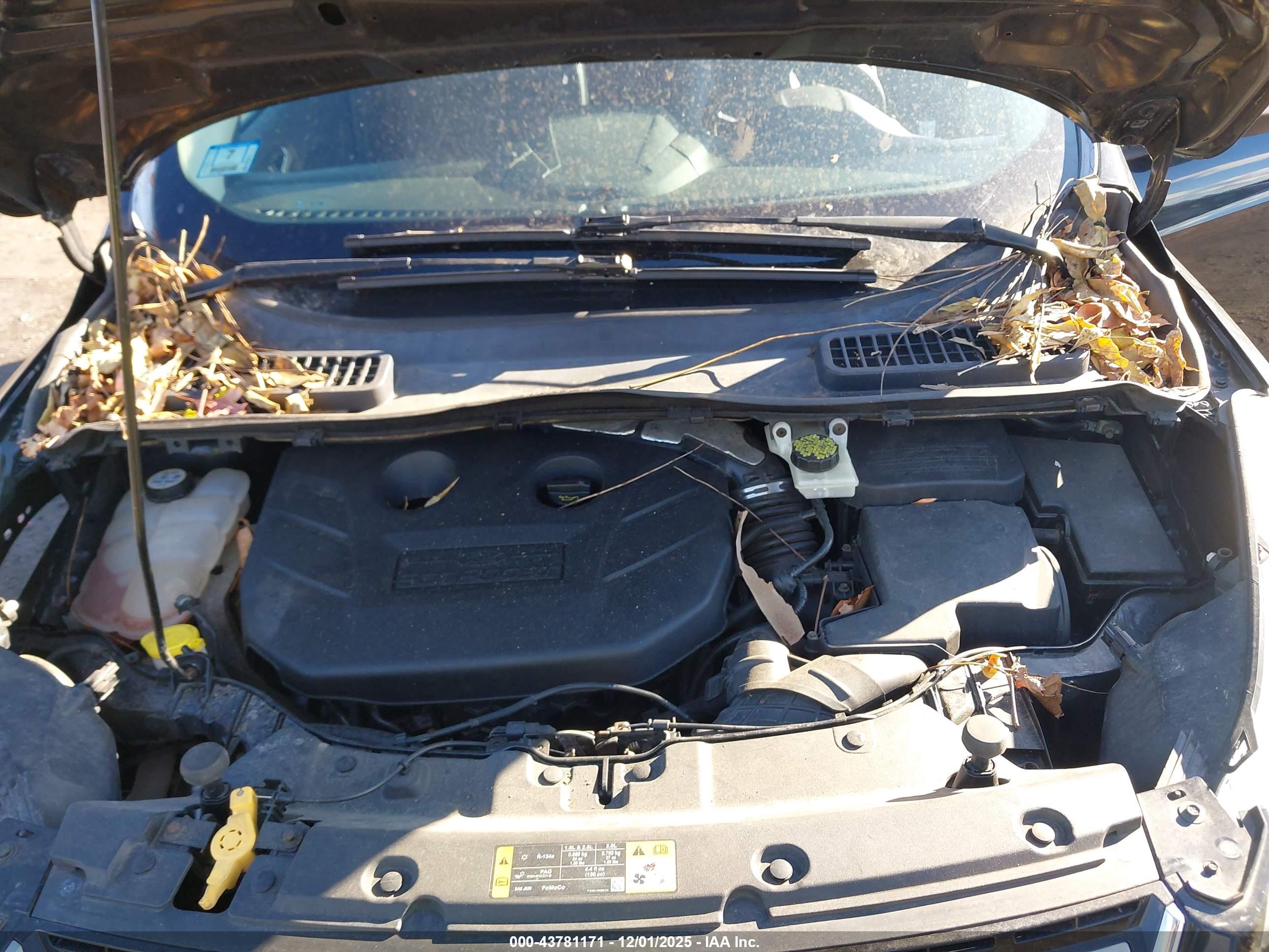 FORD ESCAPE image 10