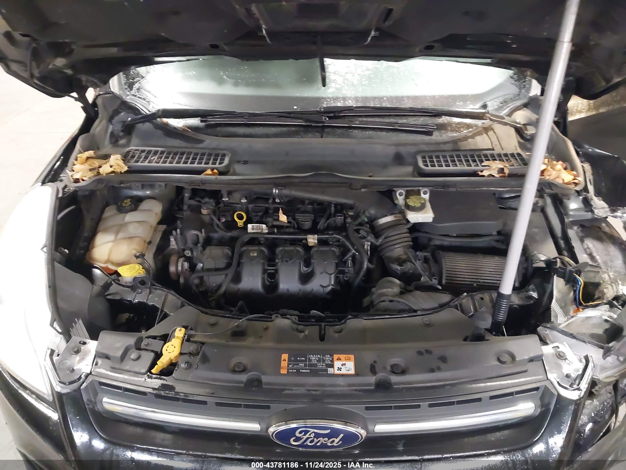 FORD ESCAPE image 10