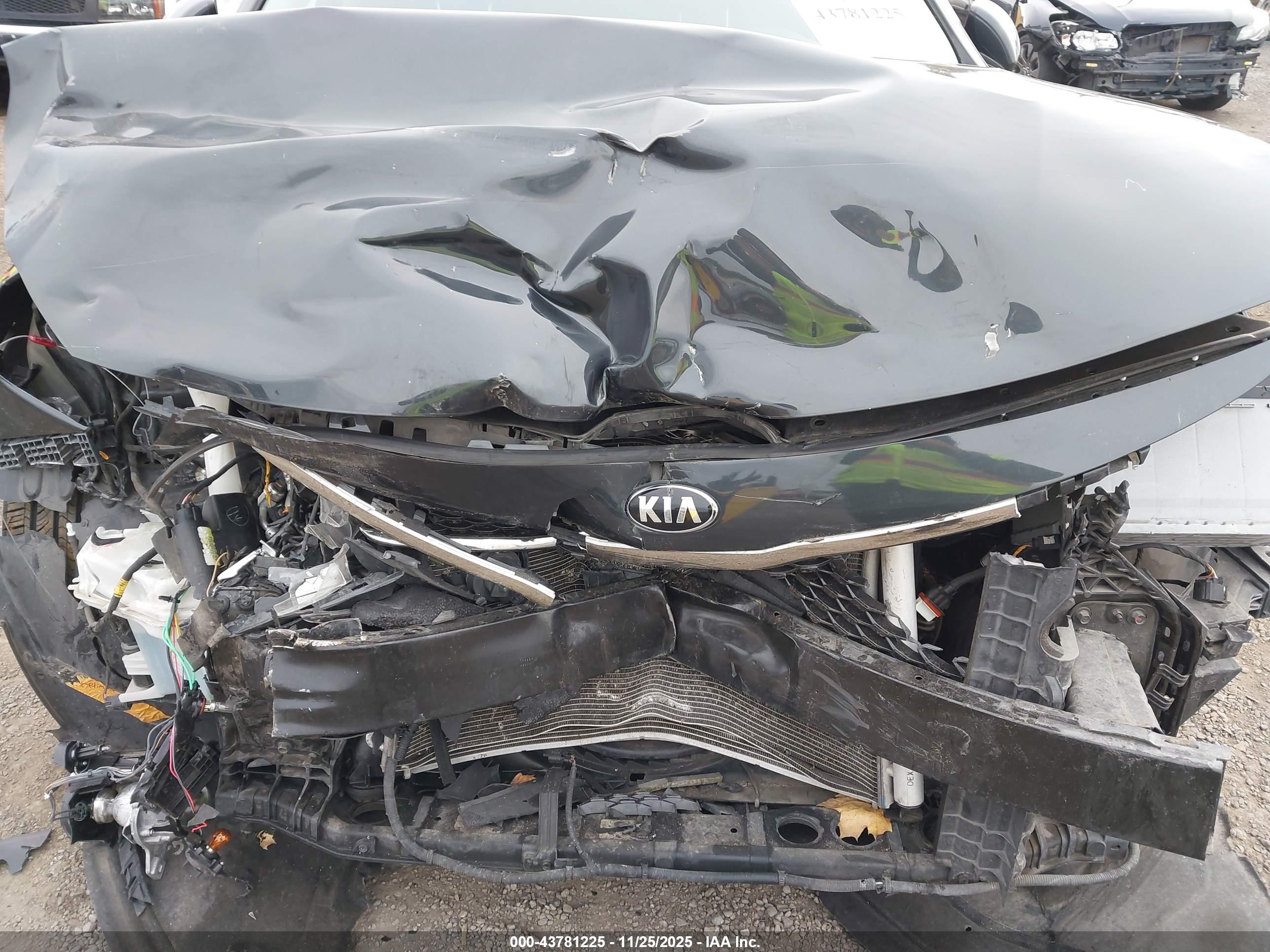 KIA OPTIMA image 6