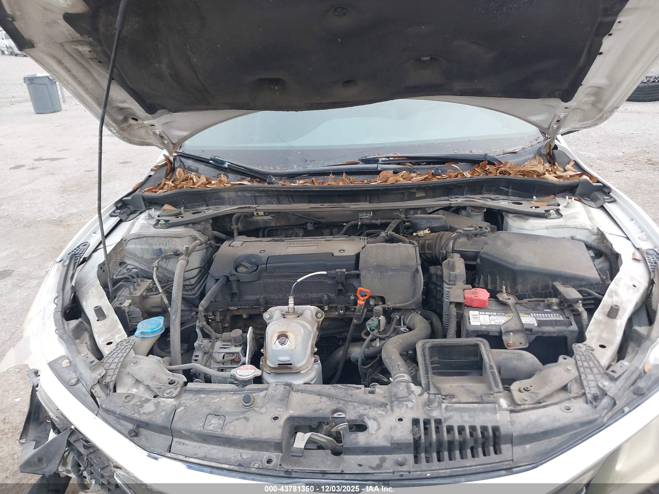 HONDA ACCORD image 10