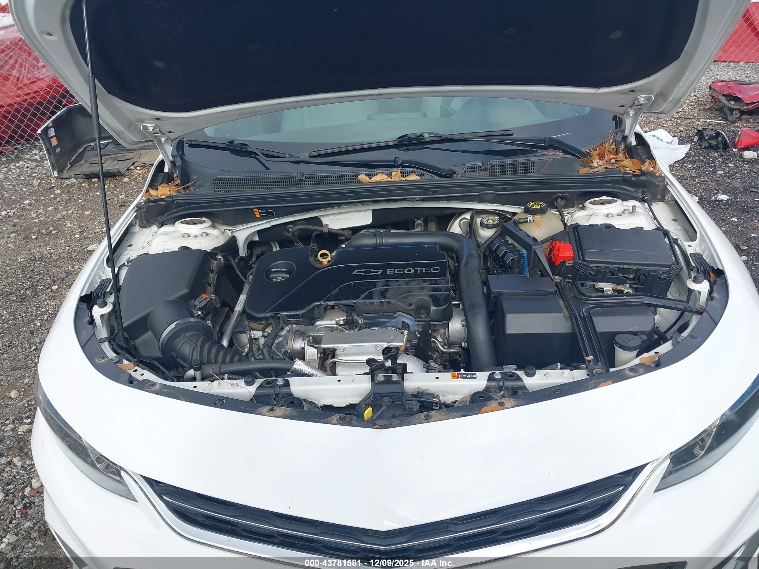 CHEVROLET MALIBU image 10