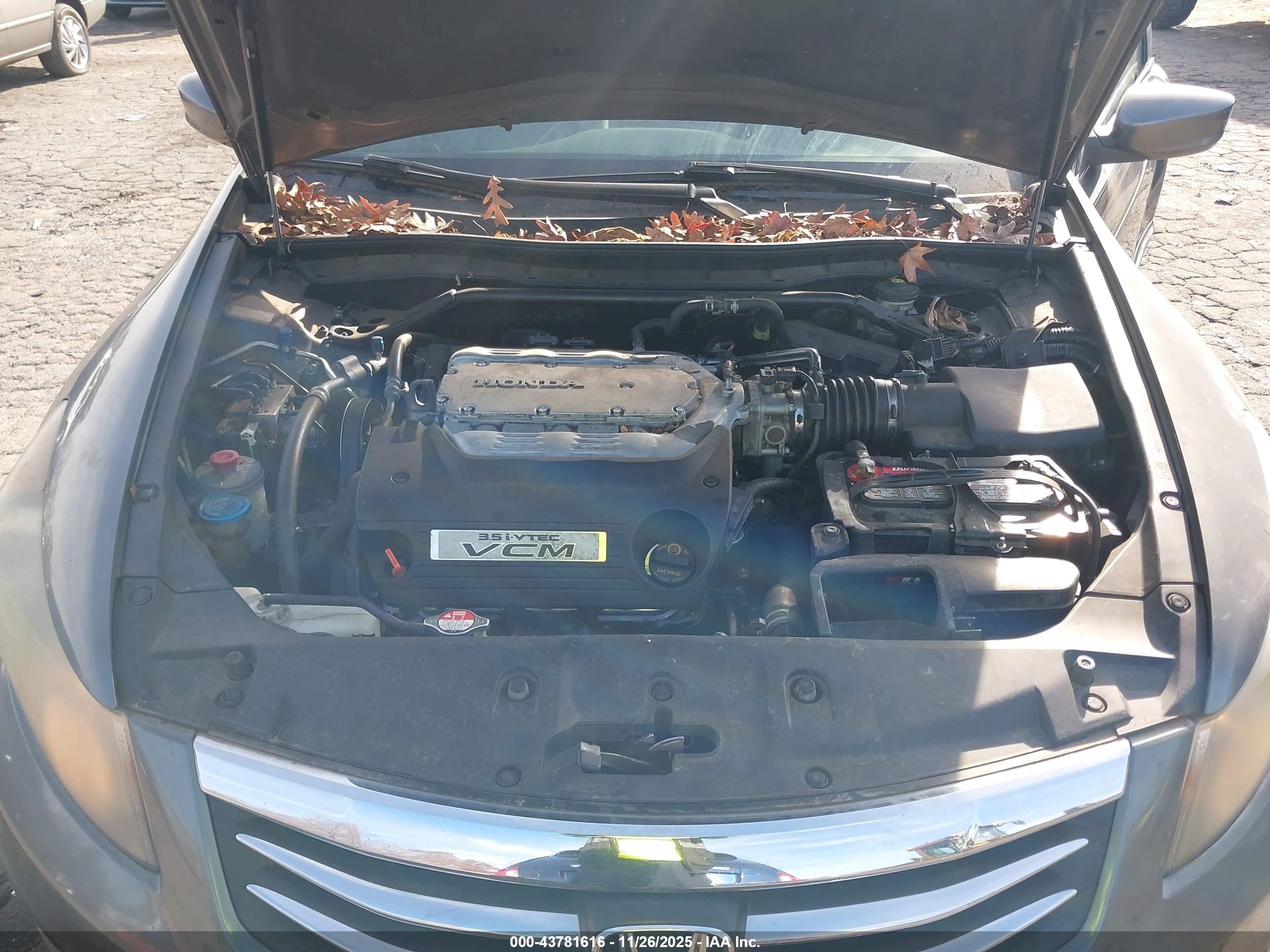 HONDA ACCORD image 10