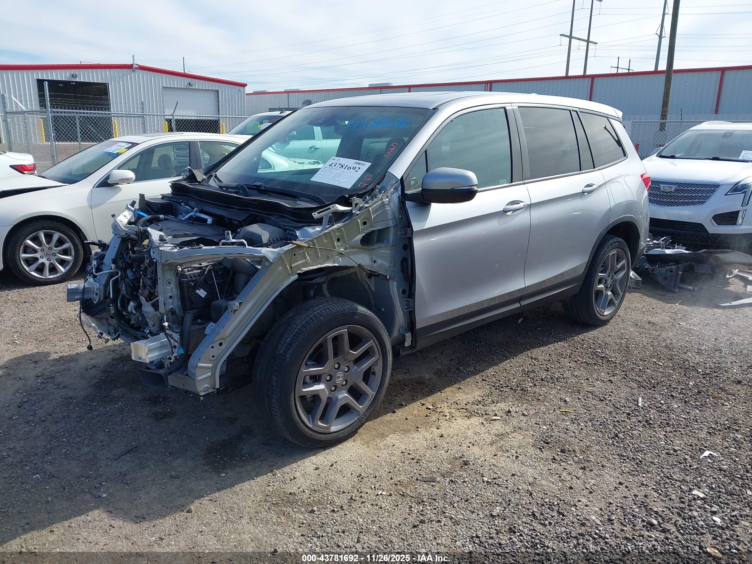 HONDA PASSPORT image 2