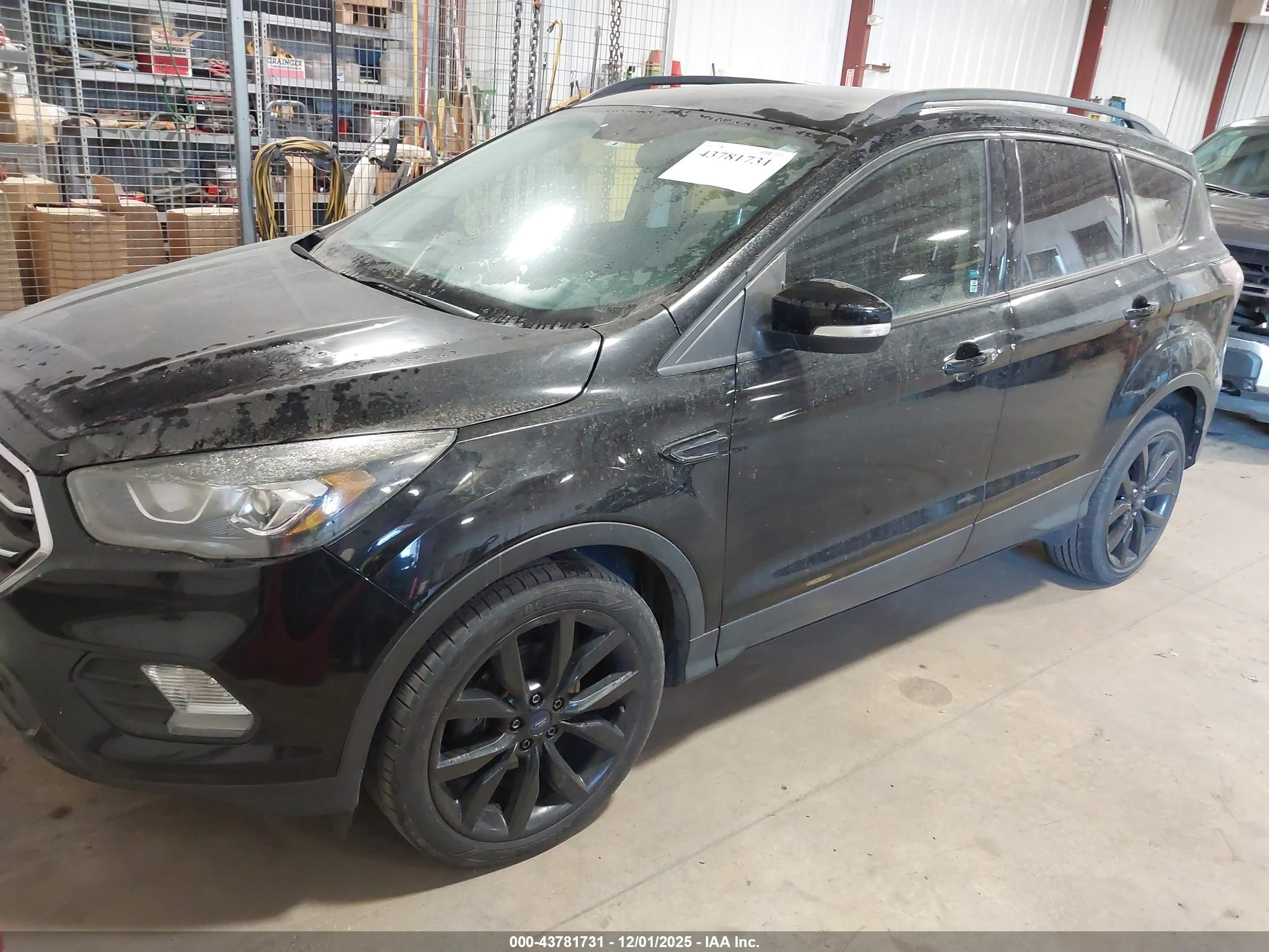 FORD ESCAPE image 2