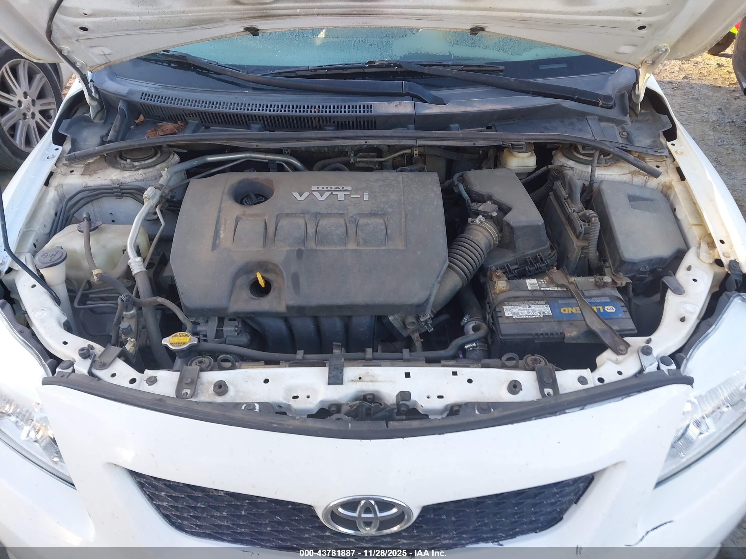 TOYOTA COROLLA image 10