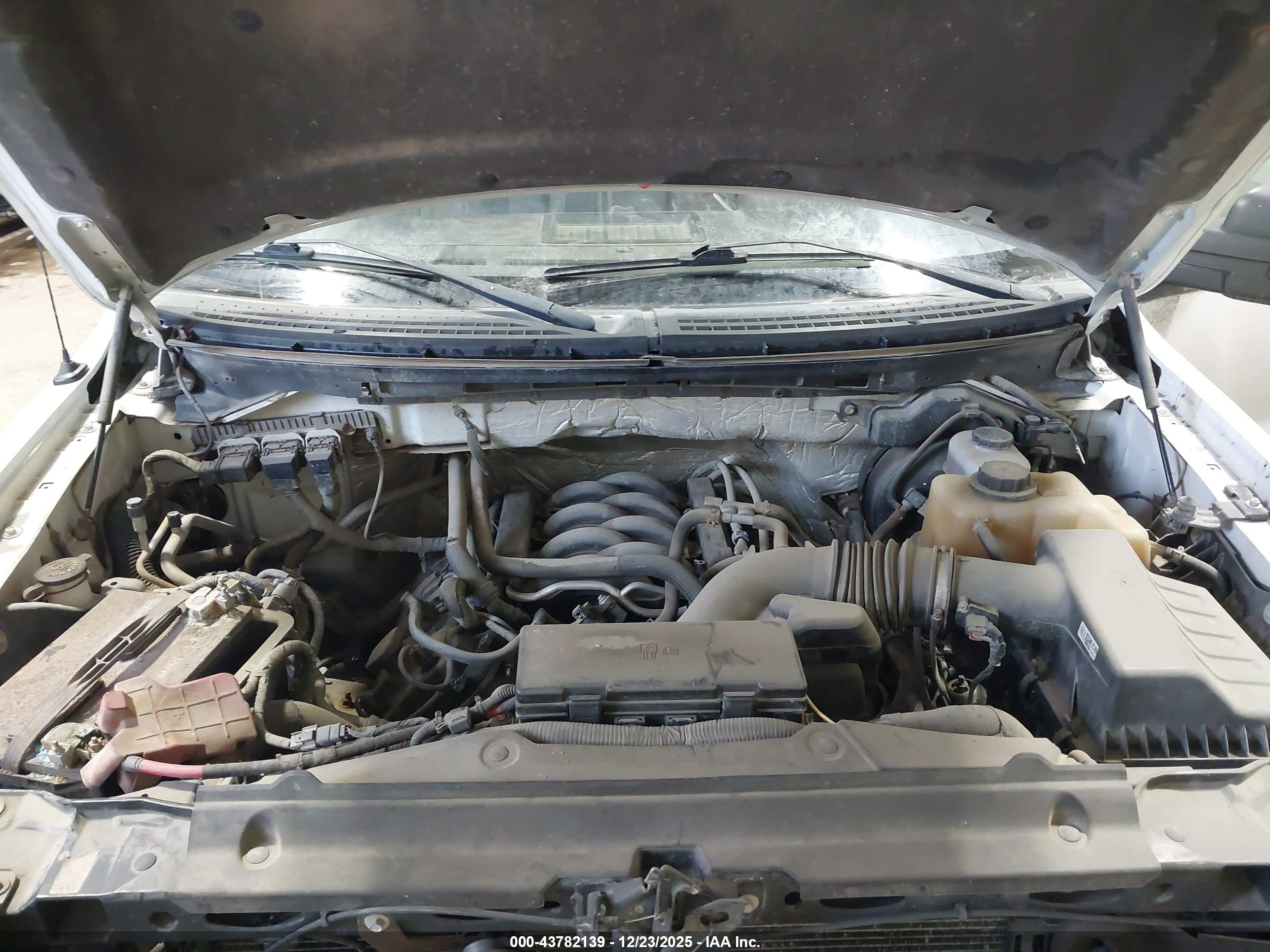 FORD F-150 image 10