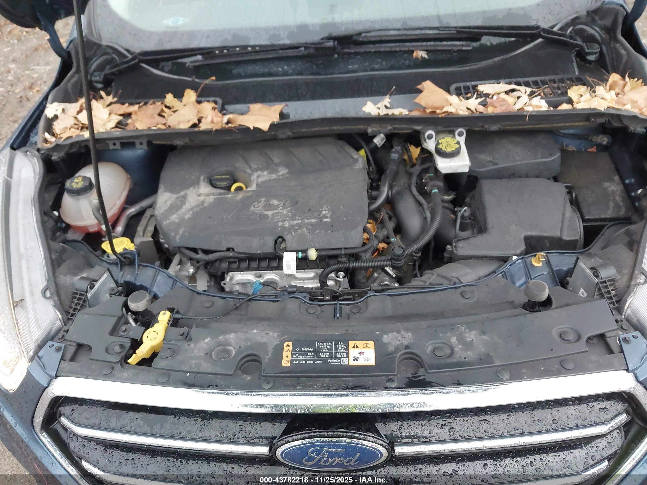 FORD ESCAPE image 10