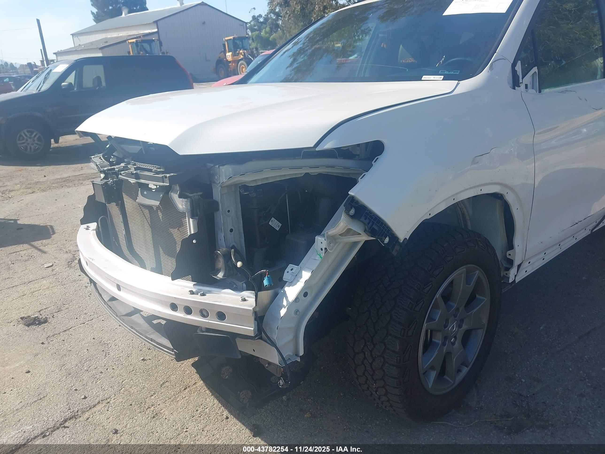 HONDA PASSPORT image 6