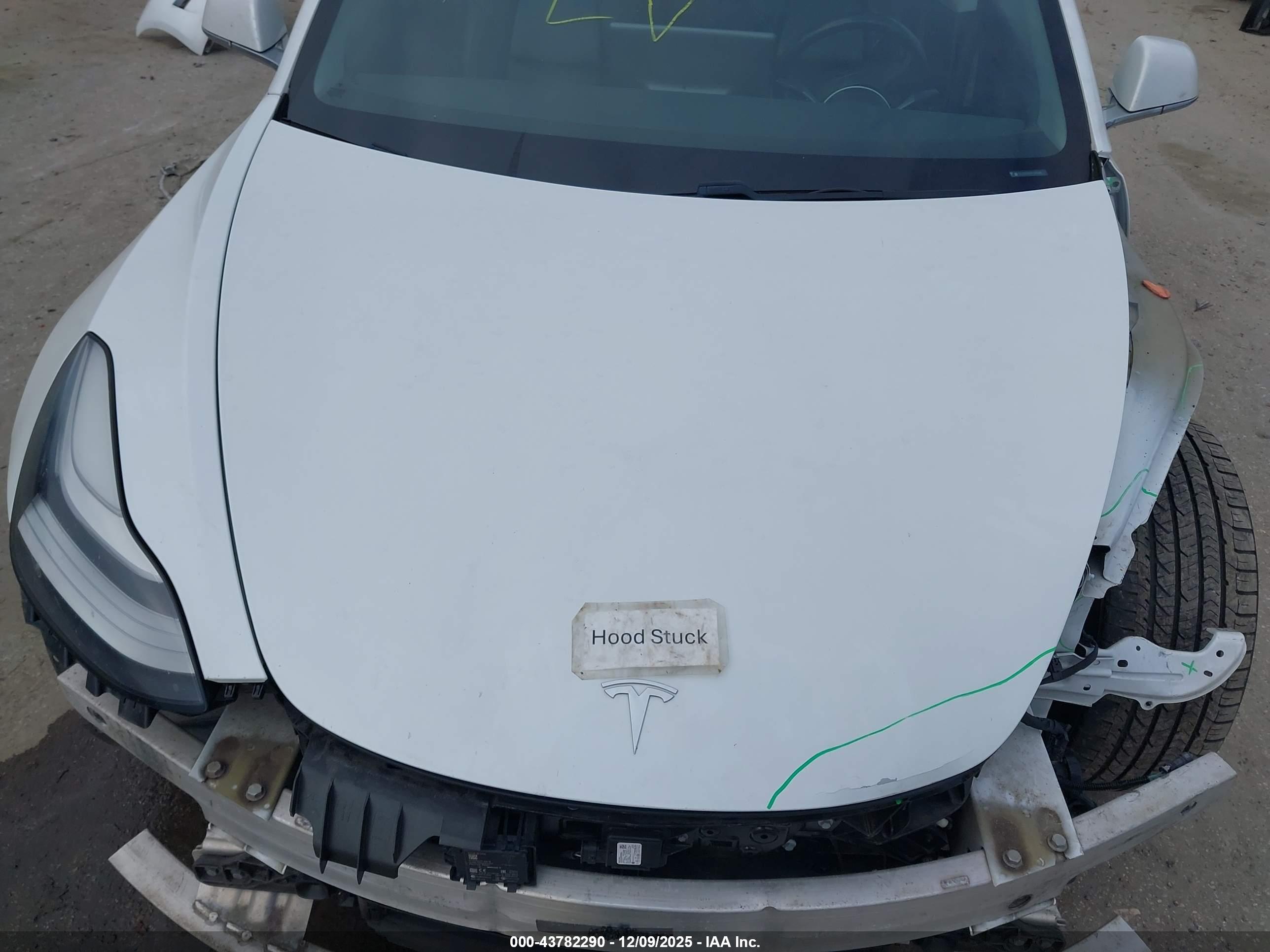 TESLA MODEL image 10