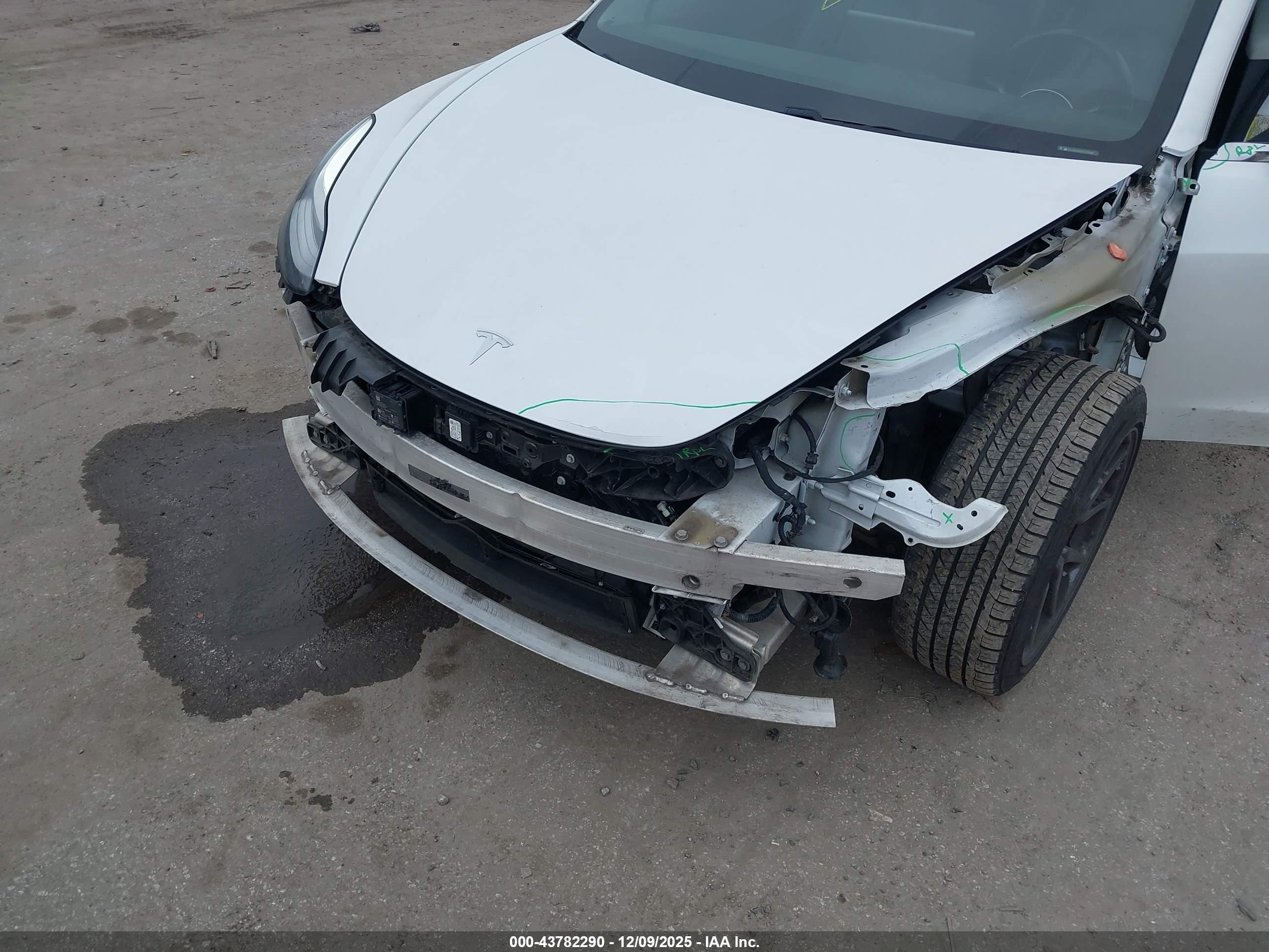 TESLA MODEL image 6