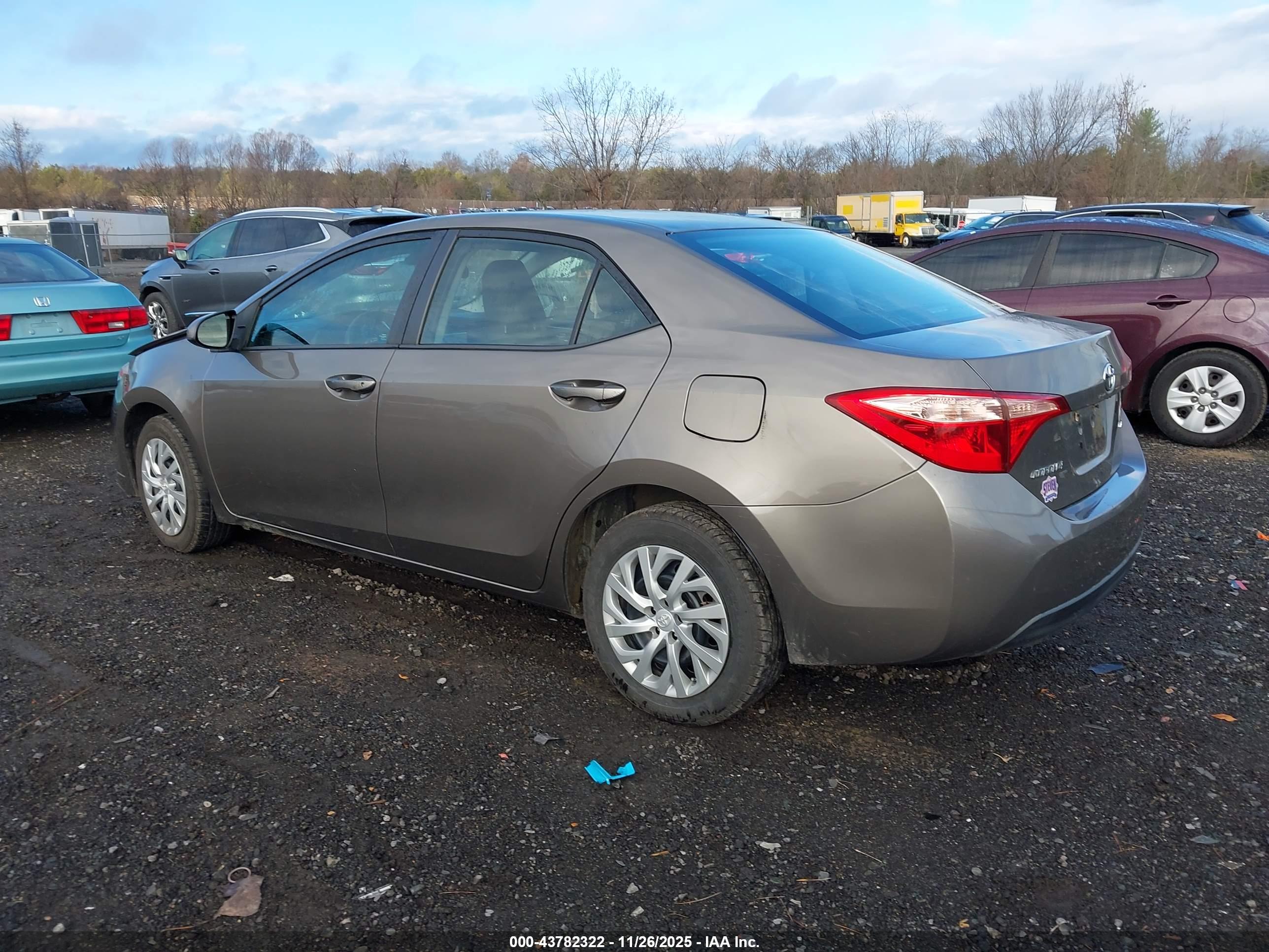 TOYOTA COROLLA image 3