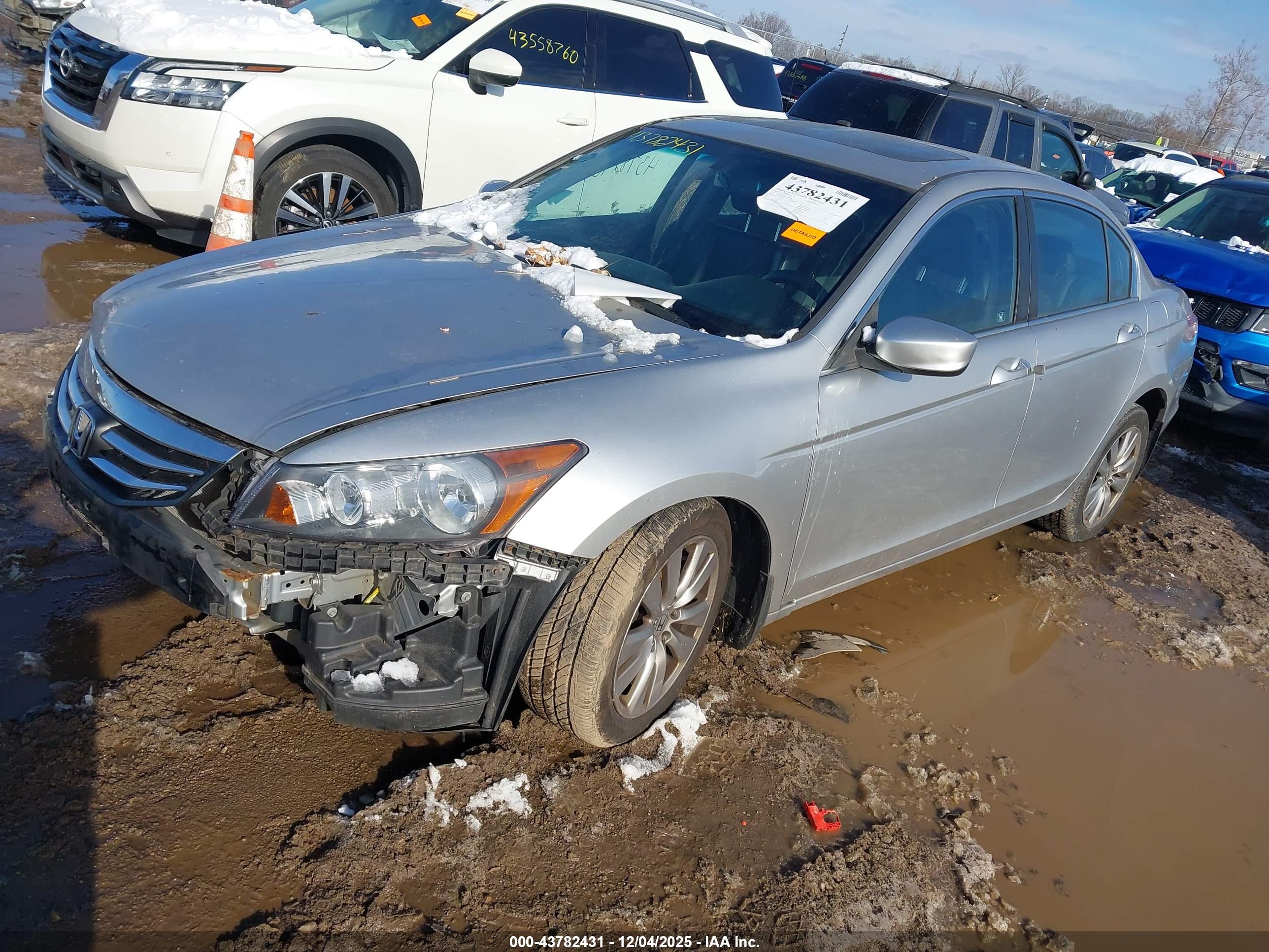 HONDA ACCORD image 2