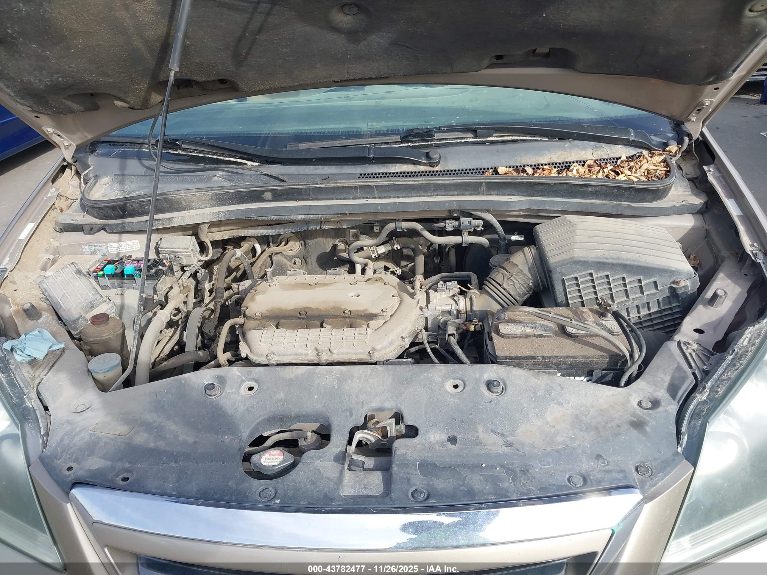 HONDA ODYSSEY image 10