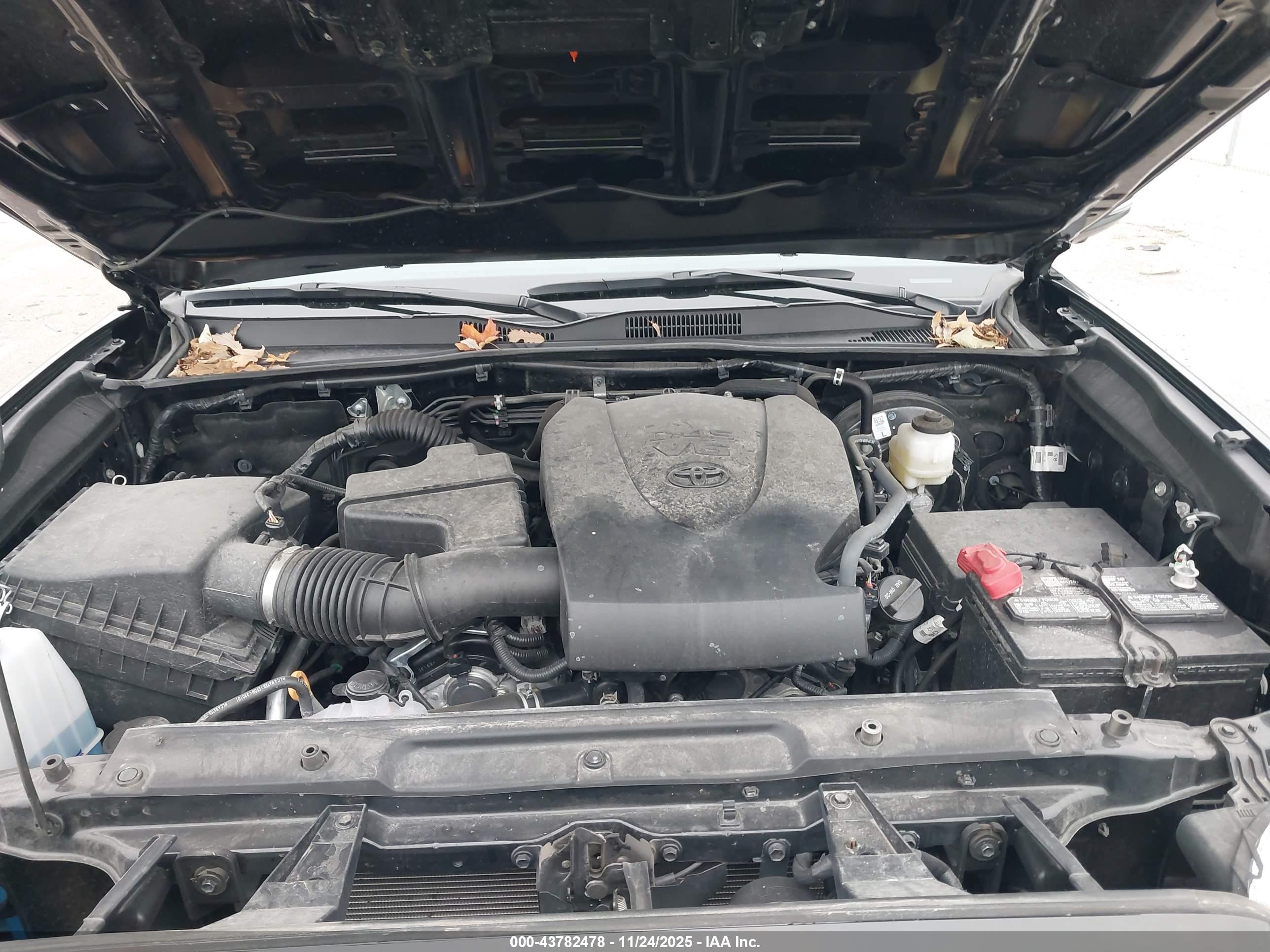 TOYOTA TACOMA image 10