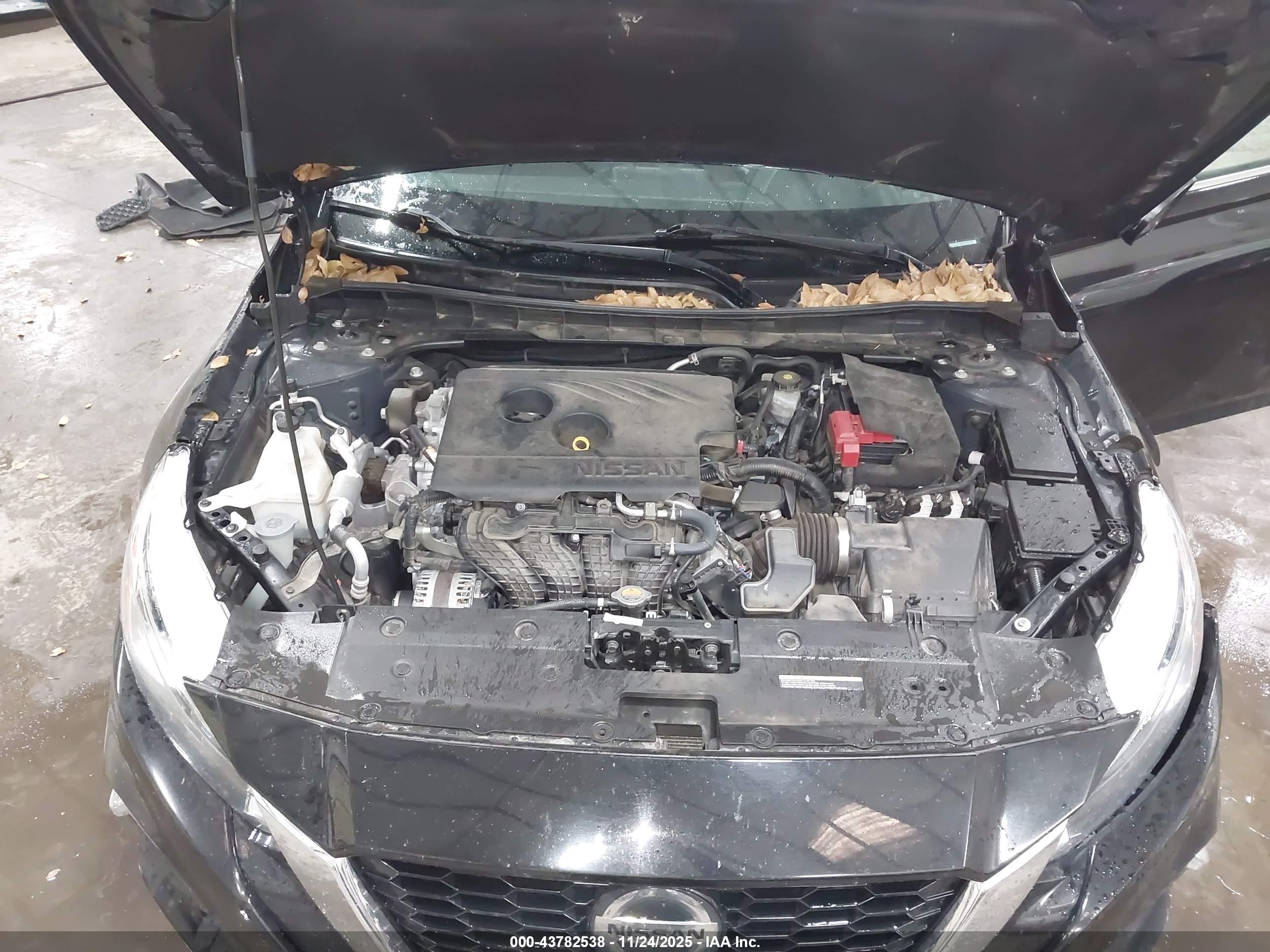 NISSAN ALTIMA image 10