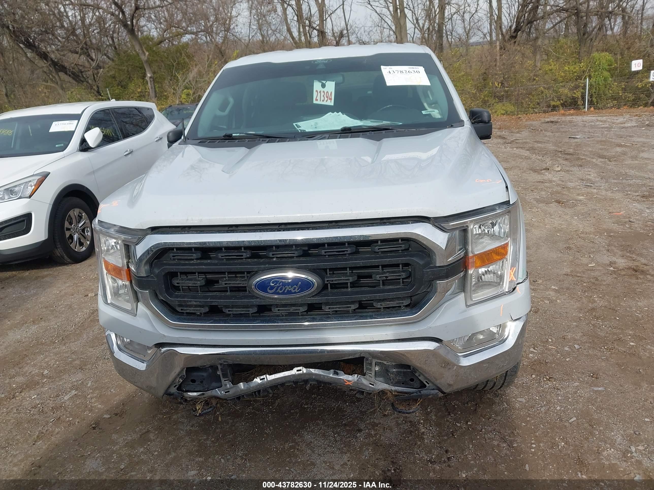 FORD F-150 image 6